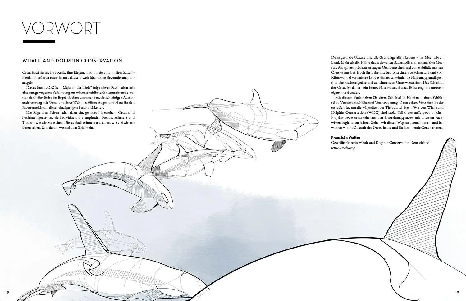 Bild: 9783440185476 | Orca | Elena Gossmann | Buch | 144 S. | Deutsch | 2026