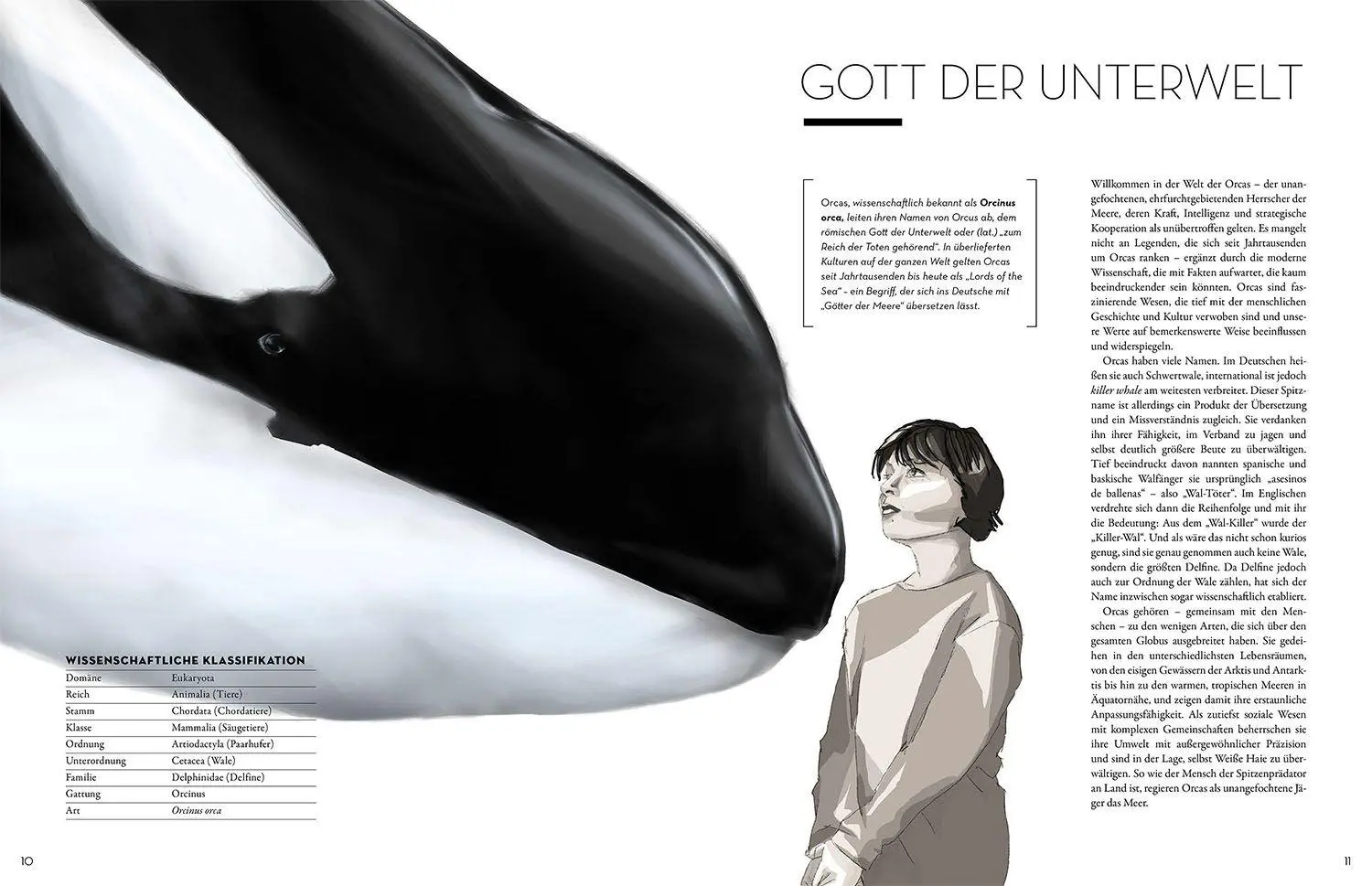 Bild: 9783440185476 | Orca | Elena Gossmann | Buch | 144 S. | Deutsch | 2026