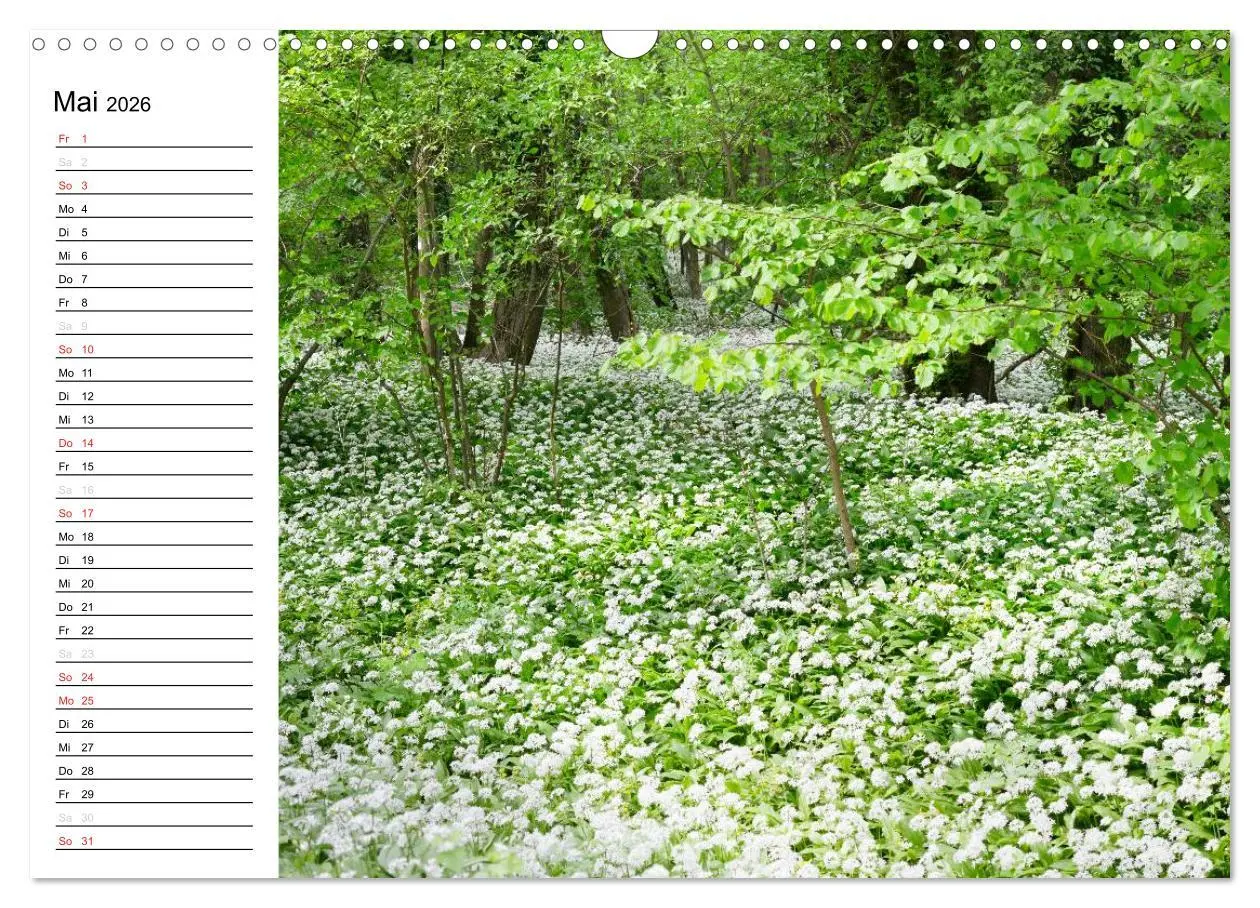 Bild: 9783457255476 | Die Jahreszeiten im Havelland (Wandkalender 2026 DIN A3 quer),...