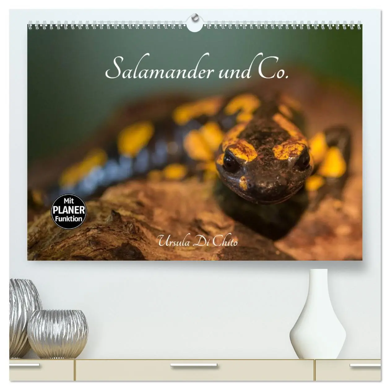 Cover: 9783457945476 | Salamander und Co. (hochwertiger Premium Wandkalender 2026 DIN A2...