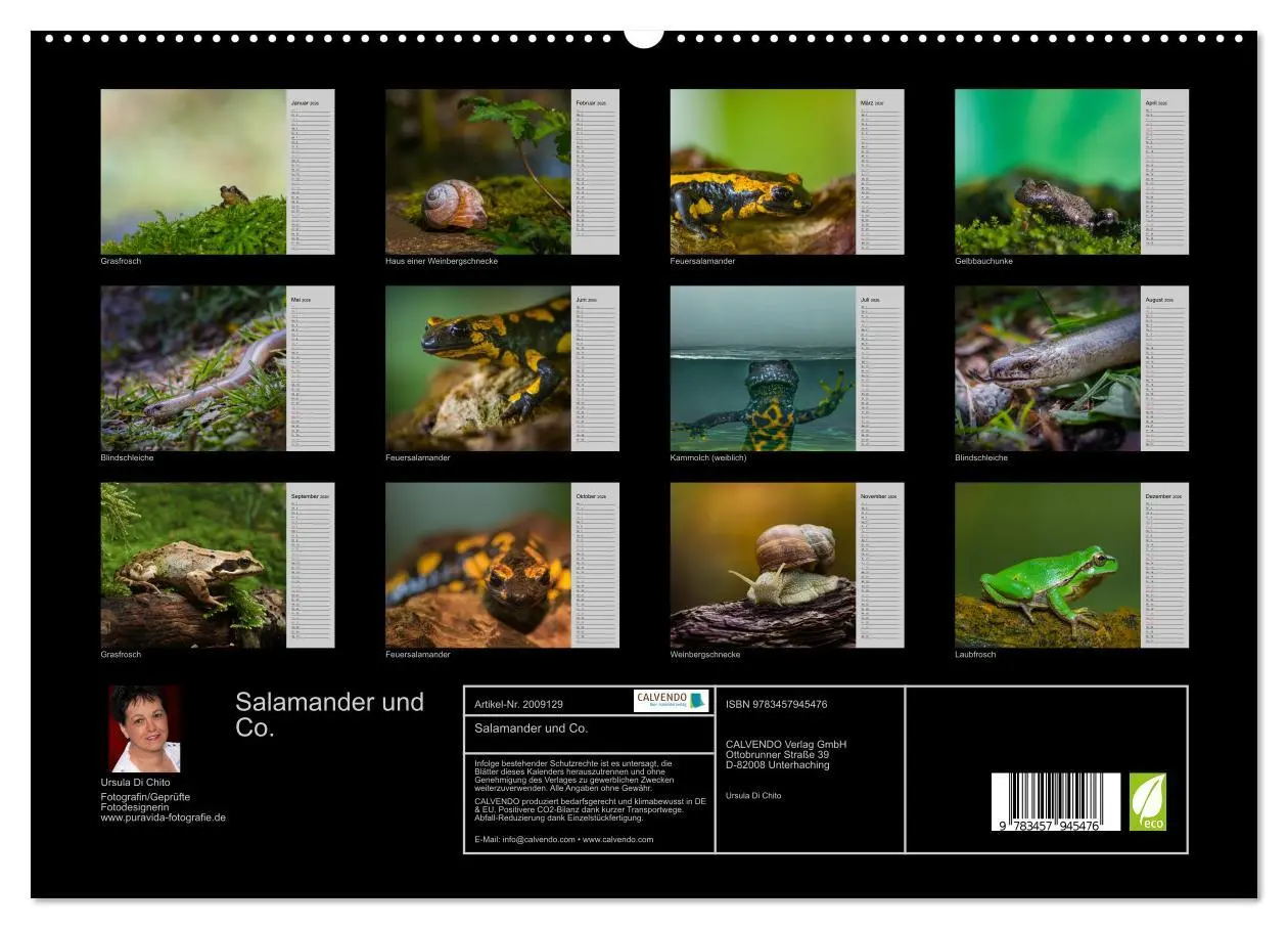 Bild: 9783457945476 | Salamander und Co. (hochwertiger Premium Wandkalender 2026 DIN A2...