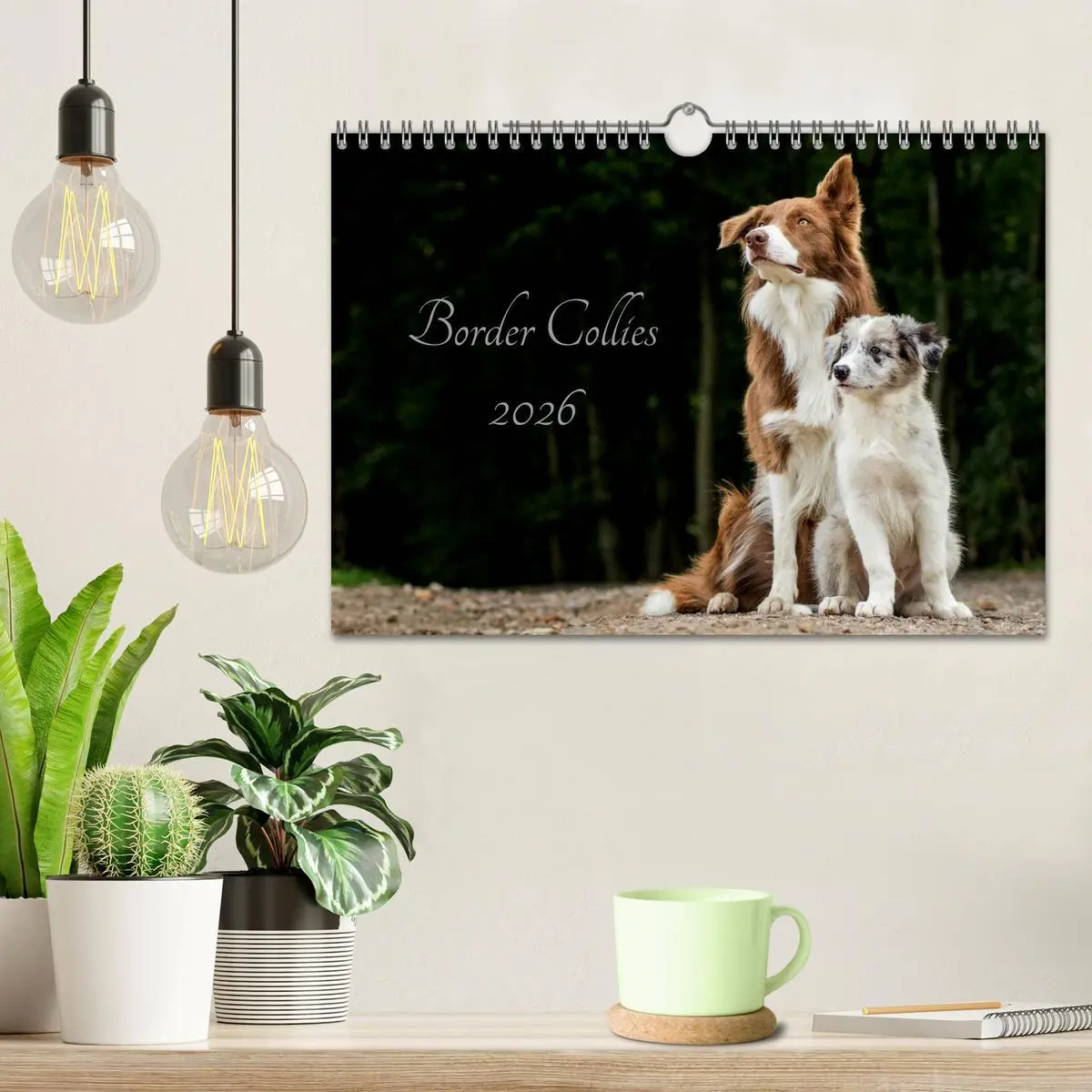 Bild: 9783516035476 | Border Collies 2026 (Wandkalender 2026 DIN A4 quer), CALVENDO...