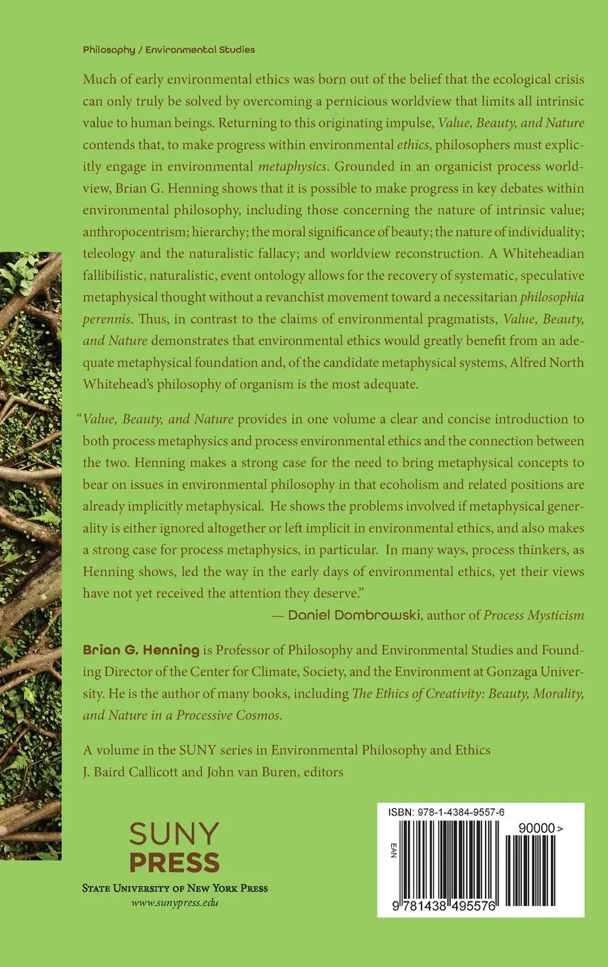 Rückseite: 9781438495576 | Value, Beauty, and Nature | Brian G. Henning | Buch | Englisch | 2023