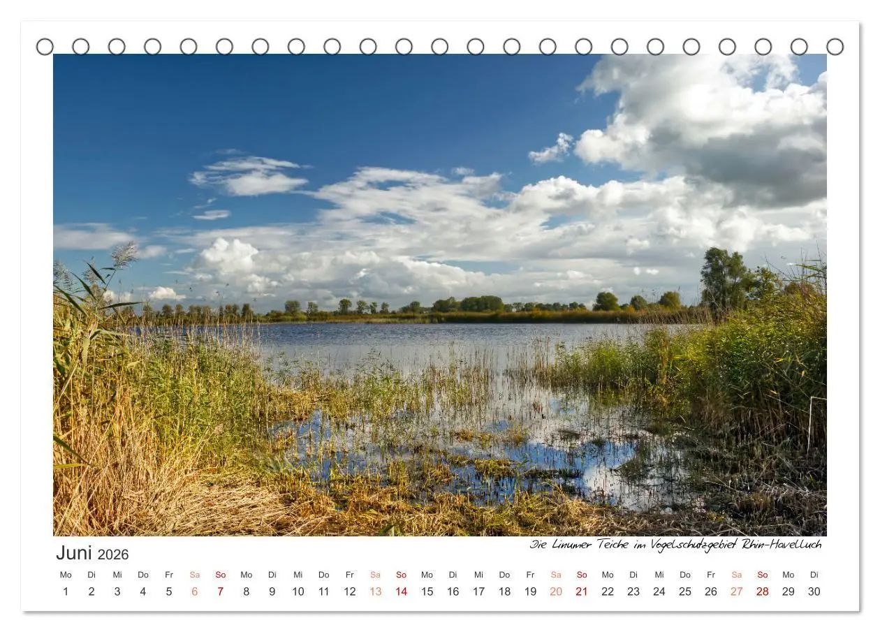 Bild: 9783457555576 | Das Havelland, immer einen Besuch wert (Tischkalender 2026 DIN A5...