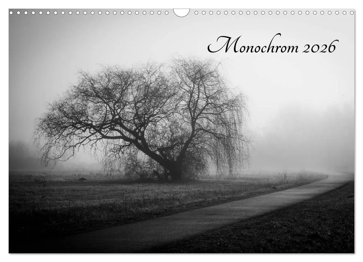 Cover: 9783516025576 | Monochrom 2026 (Wandkalender 2026 DIN A3 quer), CALVENDO...
