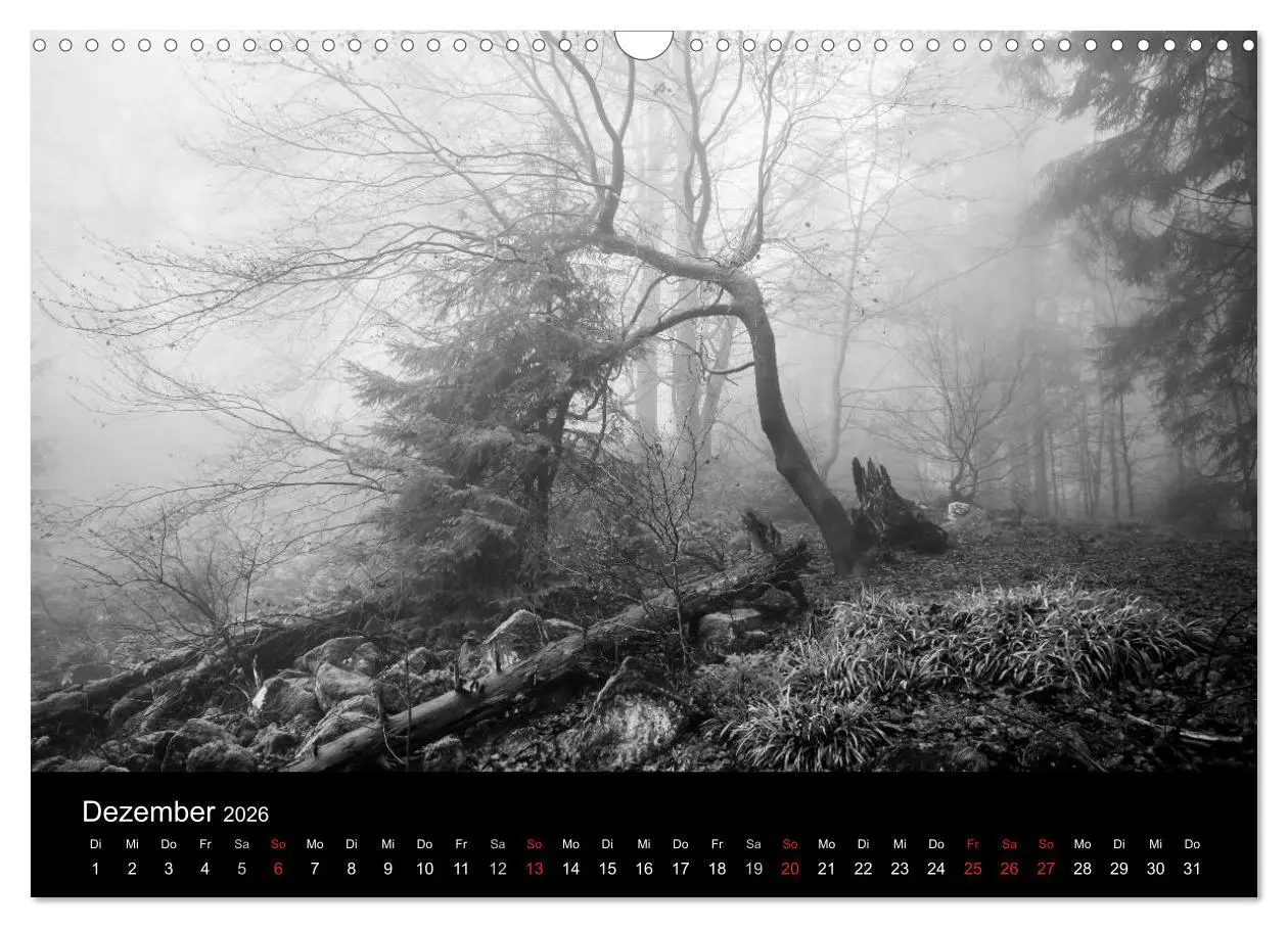 Bild: 9783516025576 | Monochrom 2026 (Wandkalender 2026 DIN A3 quer), CALVENDO...