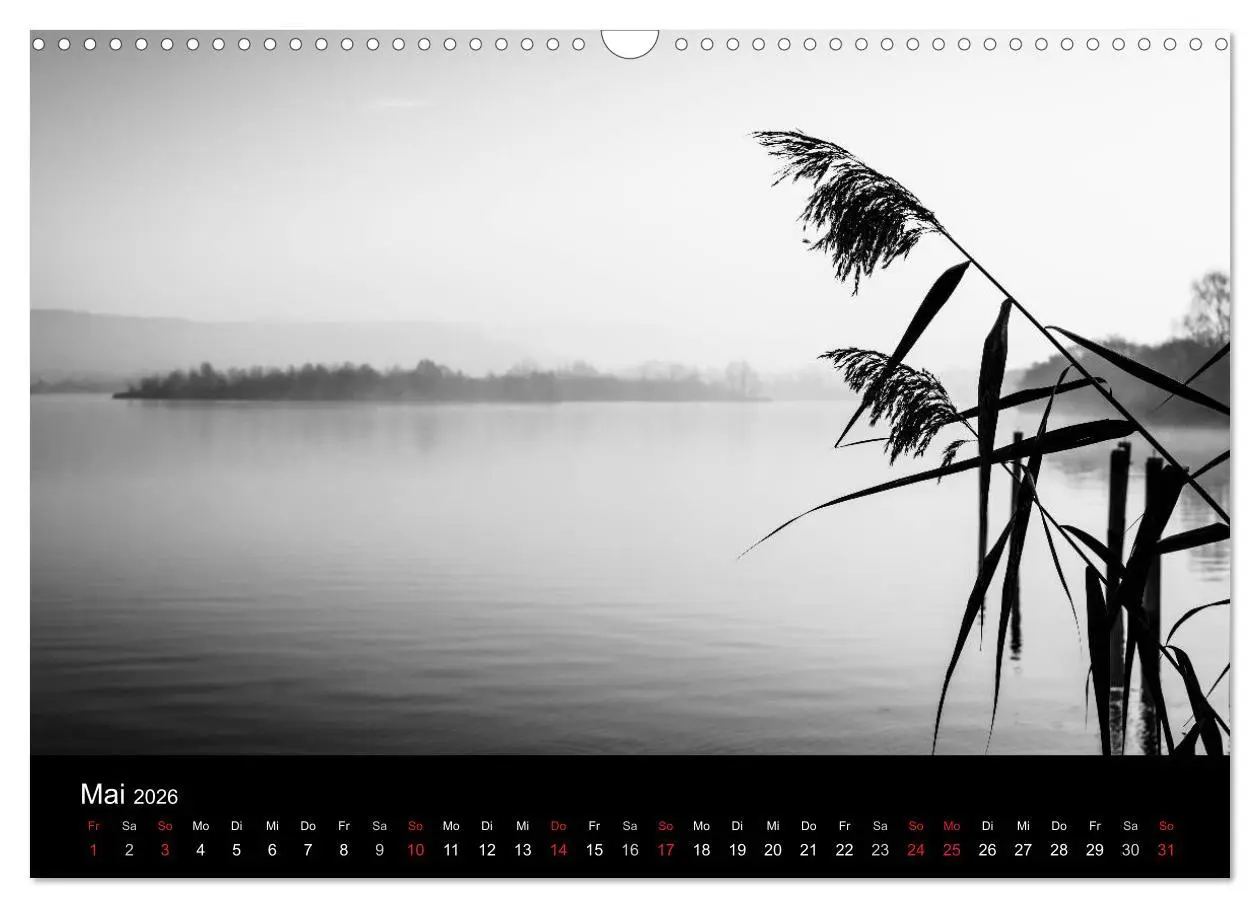 Bild: 9783516025576 | Monochrom 2026 (Wandkalender 2026 DIN A3 quer), CALVENDO...