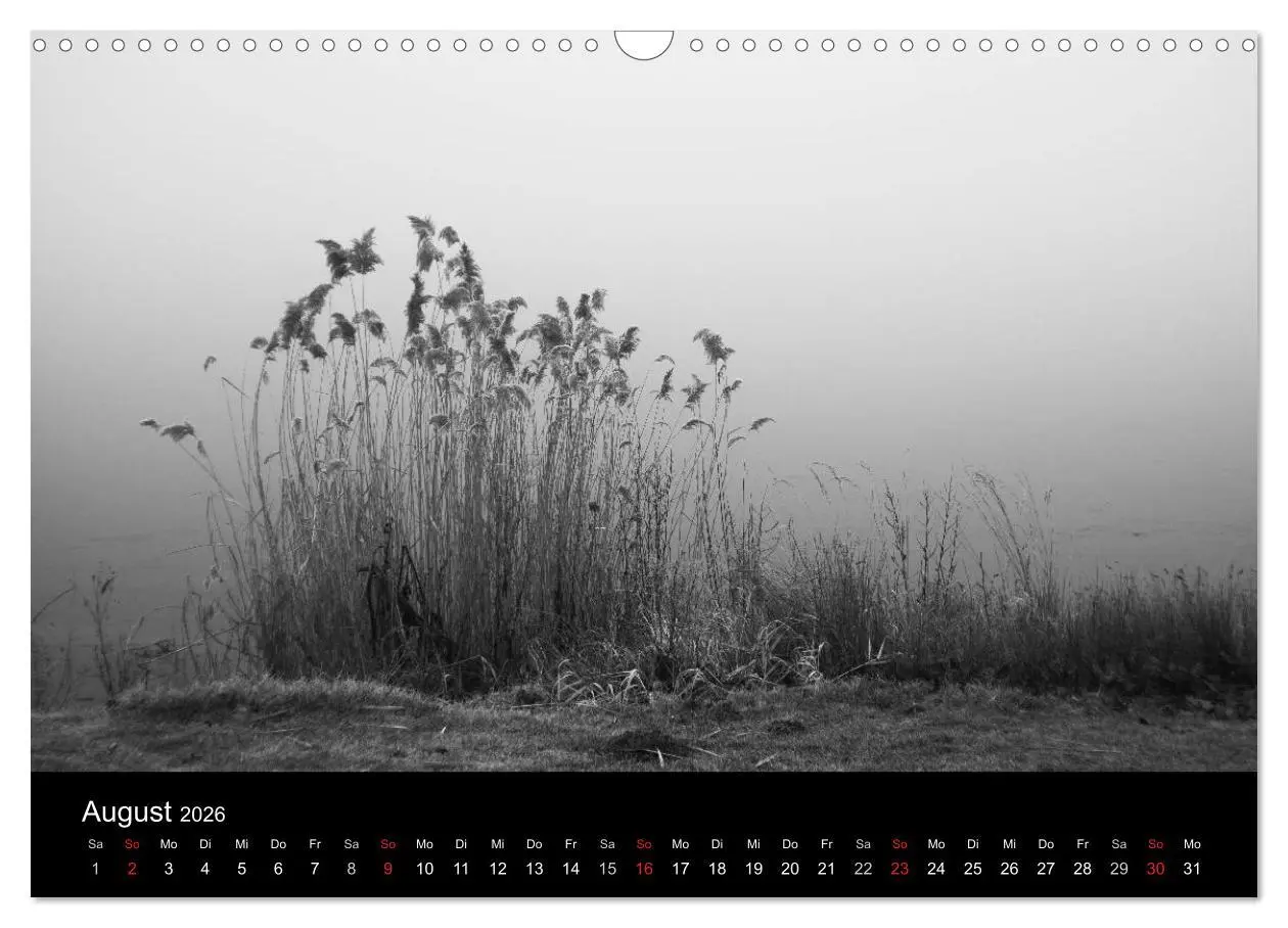 Bild: 9783516025576 | Monochrom 2026 (Wandkalender 2026 DIN A3 quer), CALVENDO...