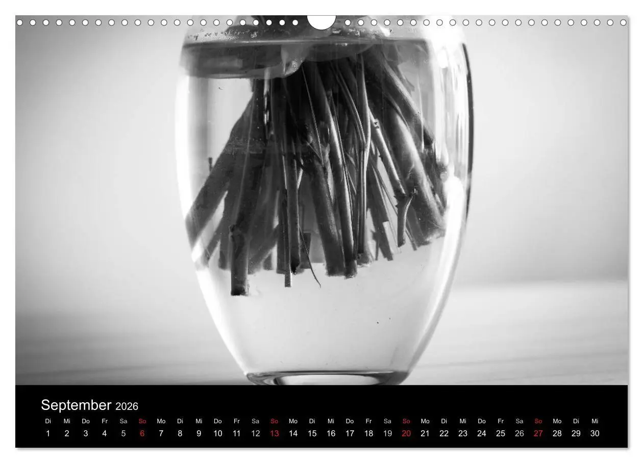 Bild: 9783516025576 | Monochrom 2026 (Wandkalender 2026 DIN A3 quer), CALVENDO...