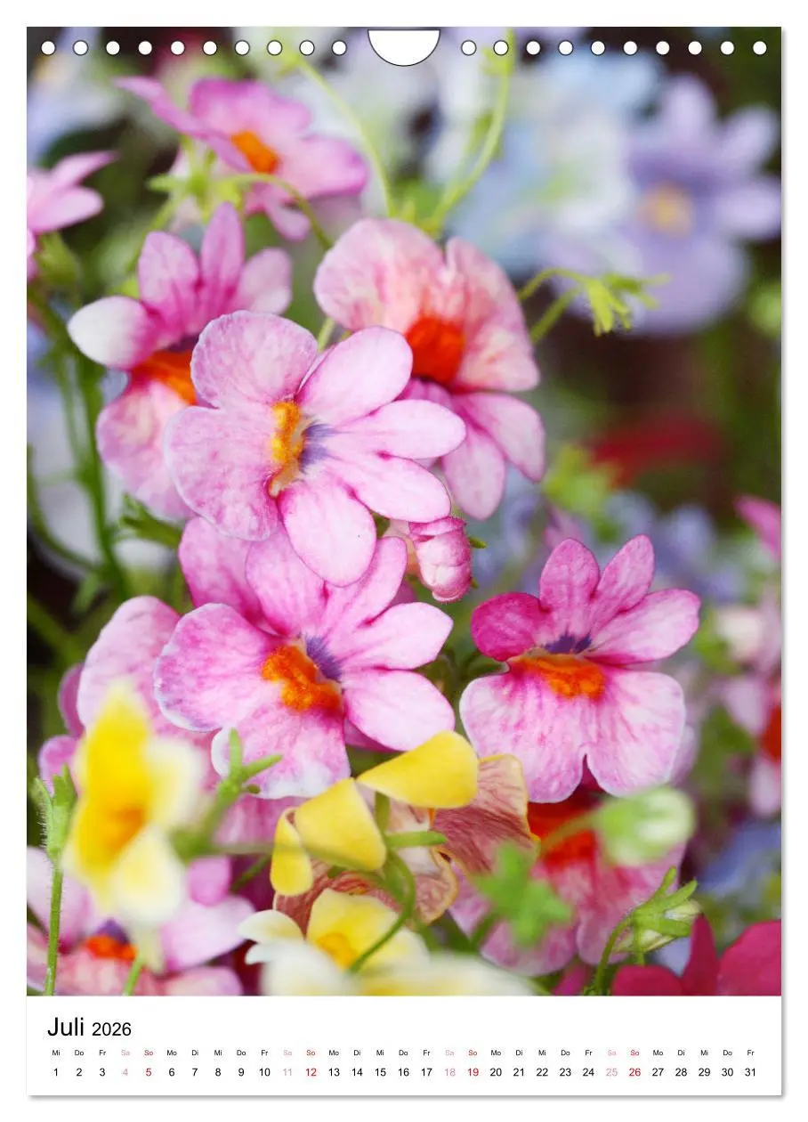 Bild: 9783516265576 | Ein Jahr voller Blumen (Wandkalender 2026 DIN A4 hoch), CALVENDO...