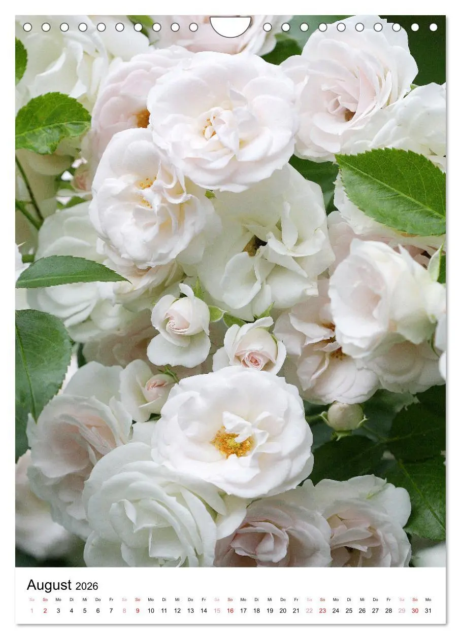 Bild: 9783516265576 | Ein Jahr voller Blumen (Wandkalender 2026 DIN A4 hoch), CALVENDO...