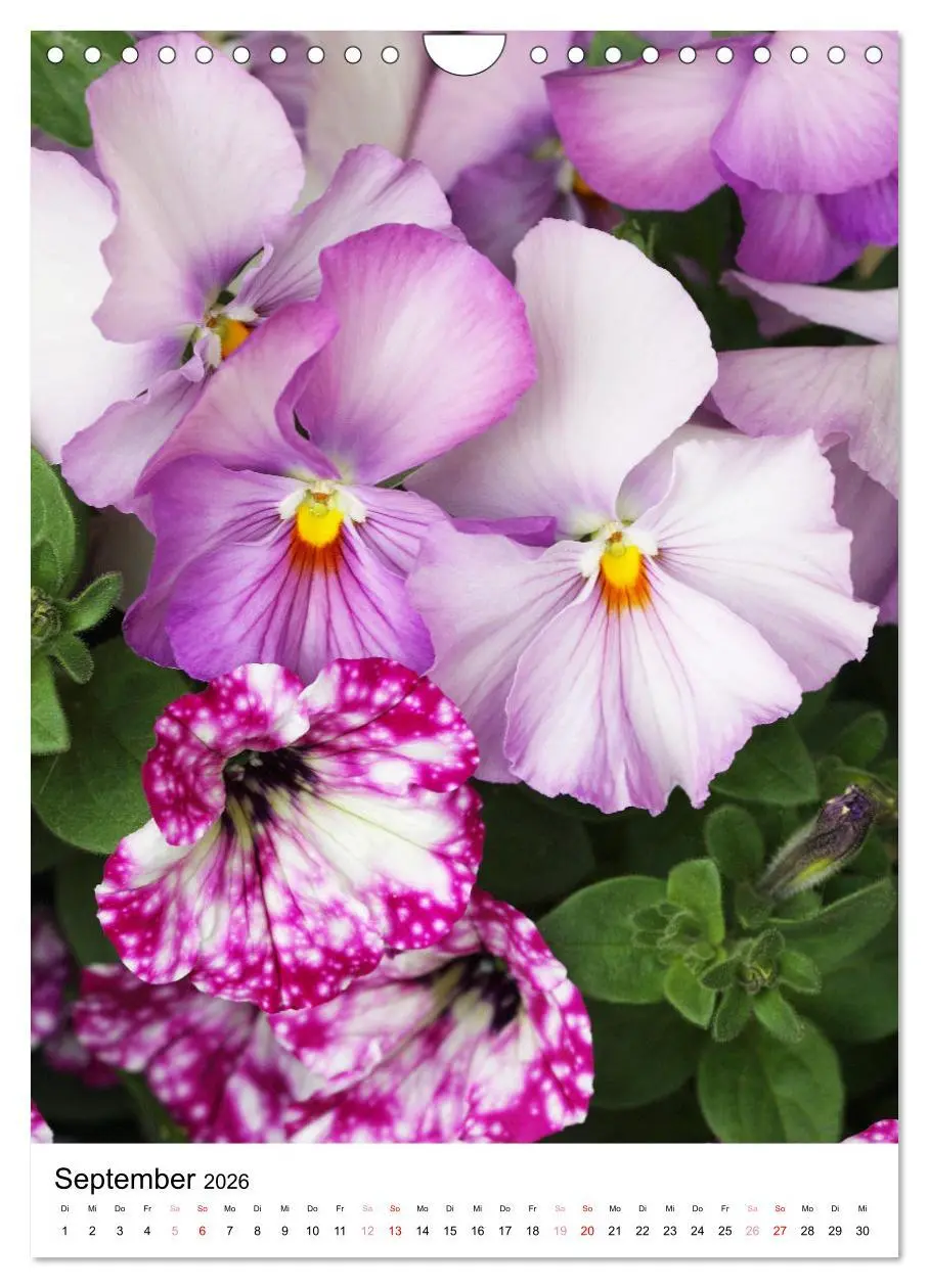 Bild: 9783516265576 | Ein Jahr voller Blumen (Wandkalender 2026 DIN A4 hoch), CALVENDO...
