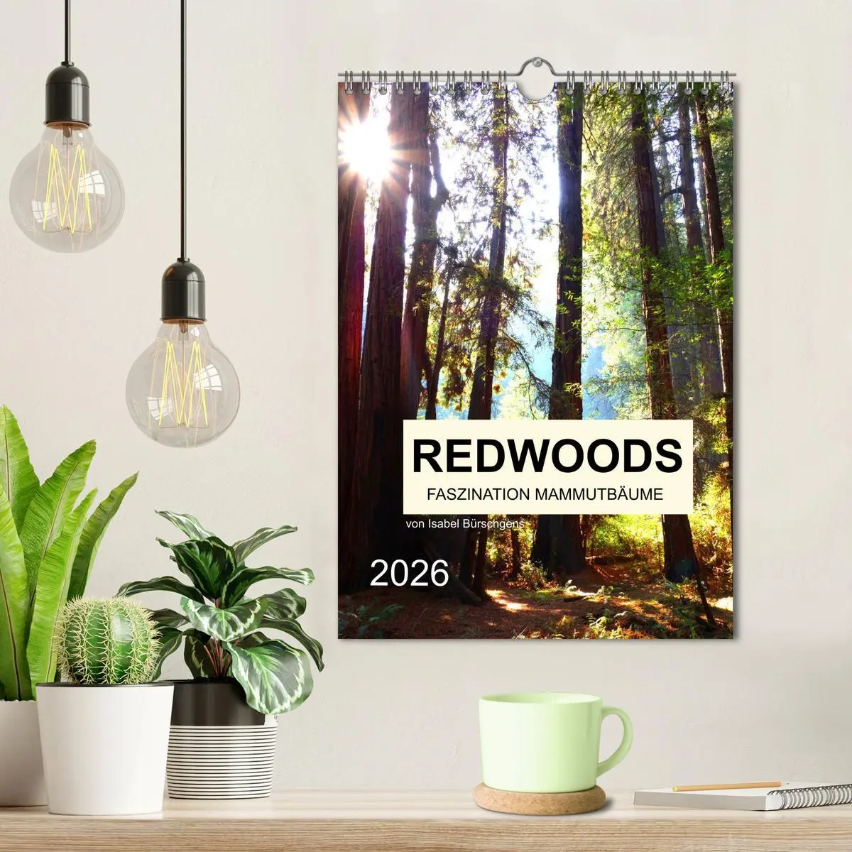 Bild: 9783516405576 | Redwoods - Faszination Mammutbäume (Wandkalender 2026 DIN A4 hoch),...