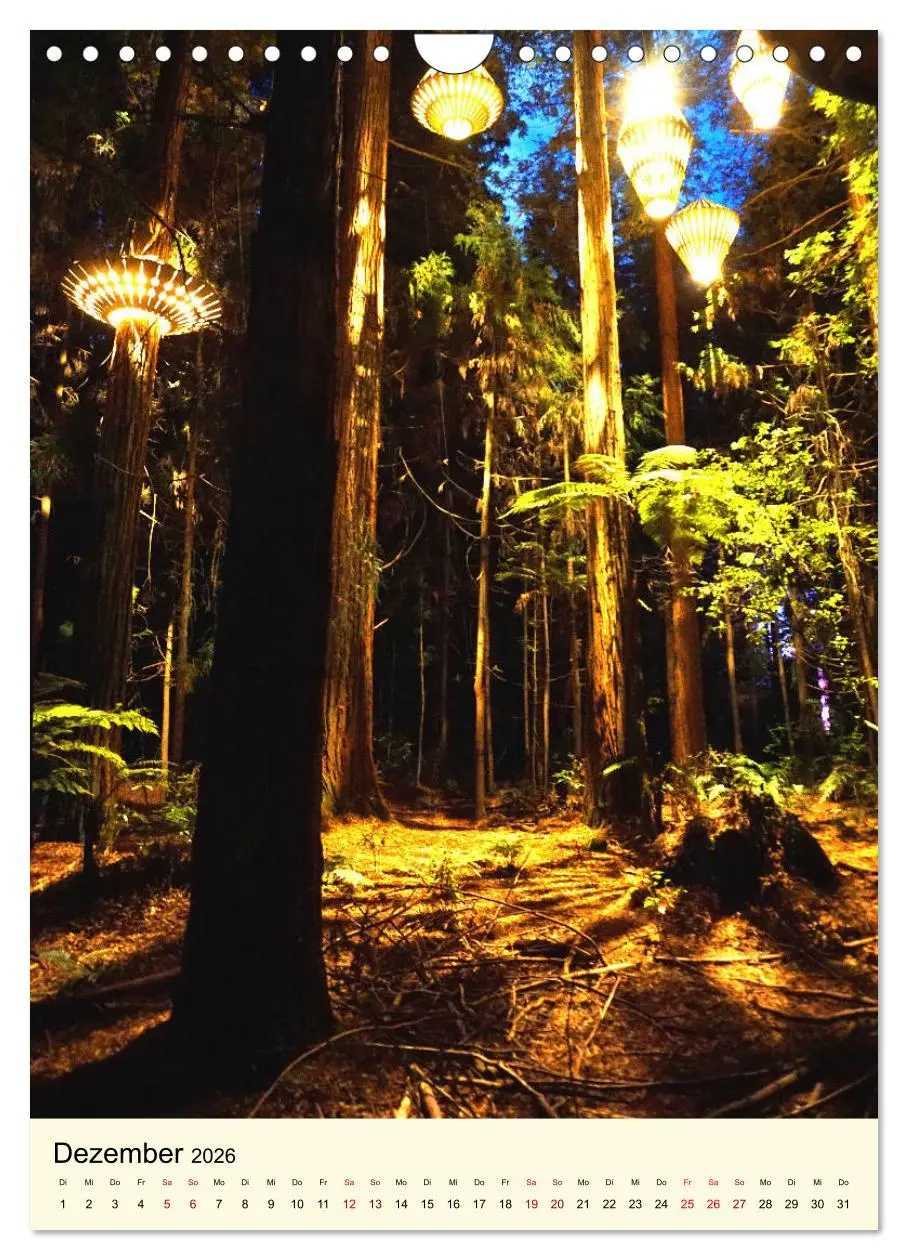 Bild: 9783516405576 | Redwoods - Faszination Mammutbäume (Wandkalender 2026 DIN A4 hoch),...