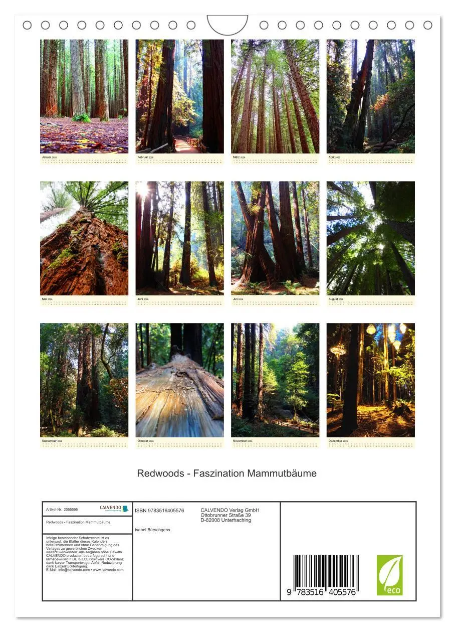 Bild: 9783516405576 | Redwoods - Faszination Mammutbäume (Wandkalender 2026 DIN A4 hoch),...