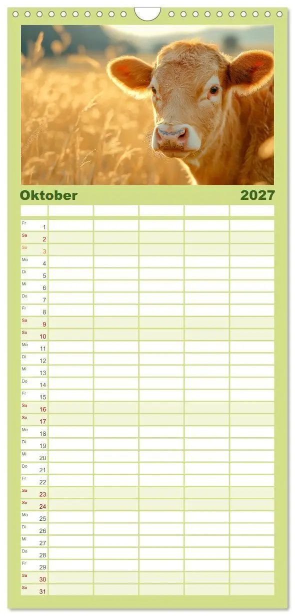Bild: 9783594305676 | Familienplaner 2027 - KÜHE AUF DER ALM - Der Kalender aus Bayern...