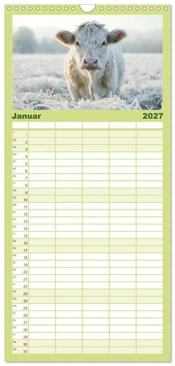Bild: 9783594305676 | Familienplaner 2027 - KÜHE AUF DER ALM - Der Kalender aus Bayern...