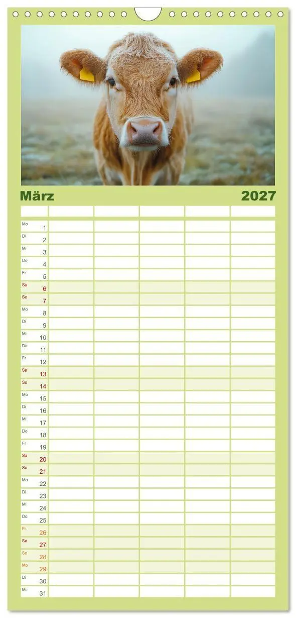 Bild: 9783594305676 | Familienplaner 2027 - KÜHE AUF DER ALM - Der Kalender aus Bayern...
