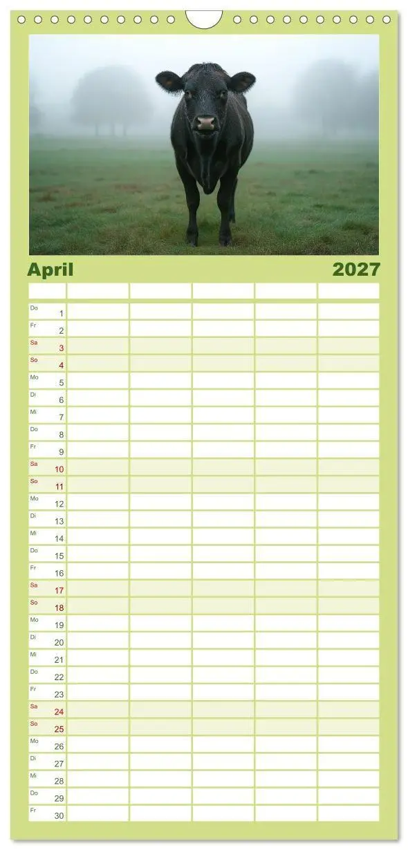 Bild: 9783594305676 | Familienplaner 2027 - KÜHE AUF DER ALM - Der Kalender aus Bayern...