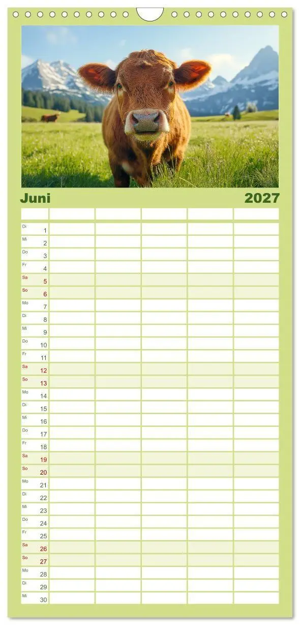 Bild: 9783594305676 | Familienplaner 2027 - KÜHE AUF DER ALM - Der Kalender aus Bayern...