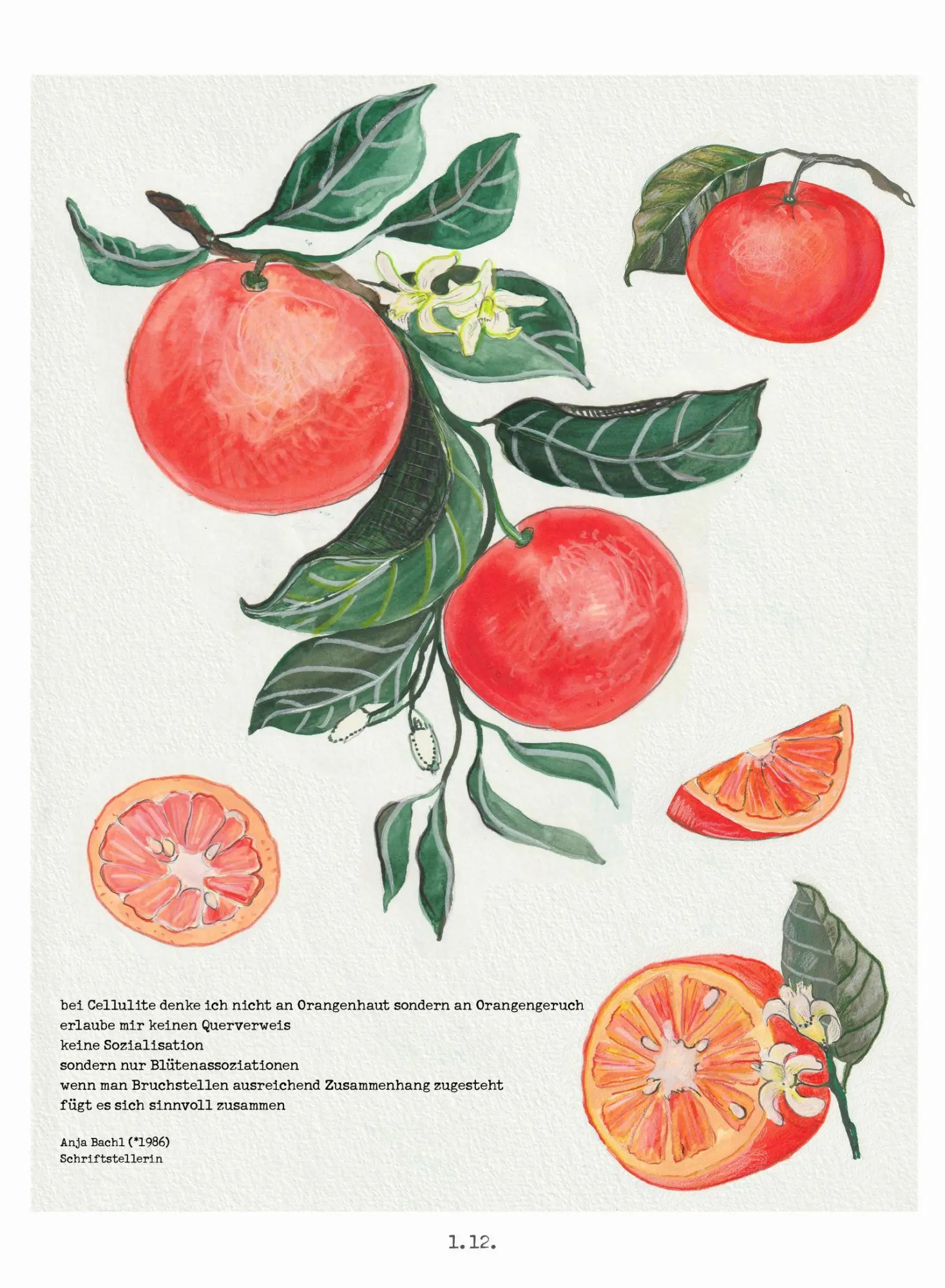 Bild: 4251693905776 | Lichtungen Advent 2026 | Ann-Kathrin Blohmer (u. a.) | Kalender