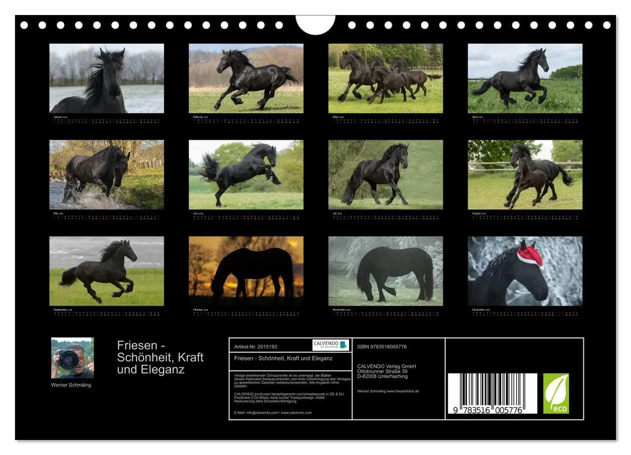 Bild: 9783516005776 | Friesen - Schönheit, Kraft und Eleganz (Wandkalender 2026 DIN A4...