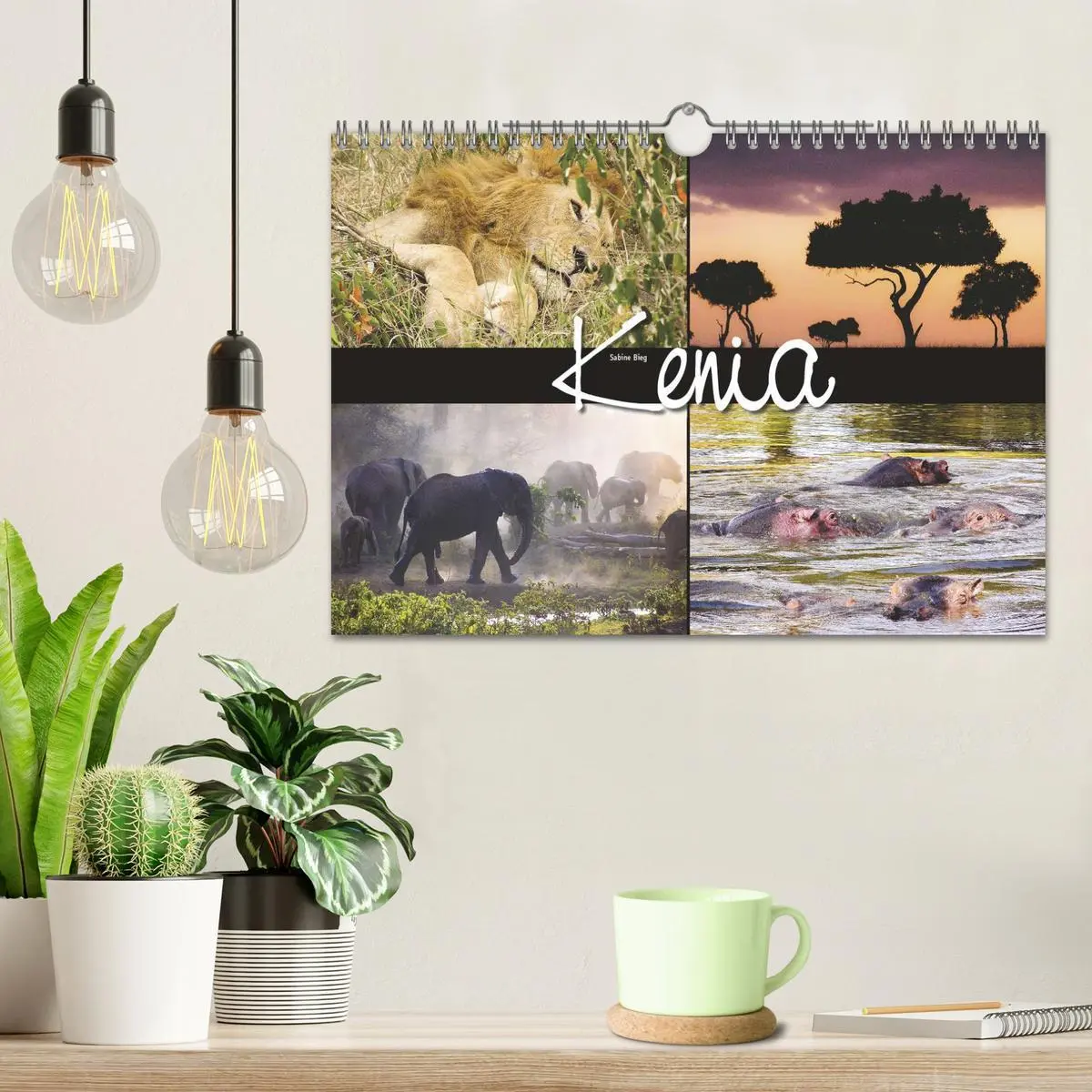 Bild: 9783516175776 | Kenia (Wandkalender 2026 DIN A4 quer), CALVENDO Monatskalender | 2026