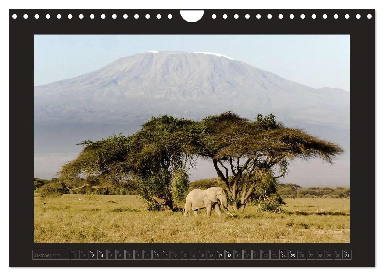 Bild: 9783516175776 | Kenia (Wandkalender 2026 DIN A4 quer), CALVENDO Monatskalender | 2026