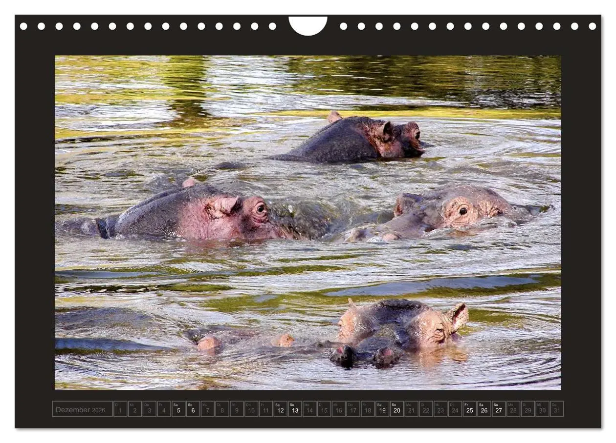 Bild: 9783516175776 | Kenia (Wandkalender 2026 DIN A4 quer), CALVENDO Monatskalender | 2026