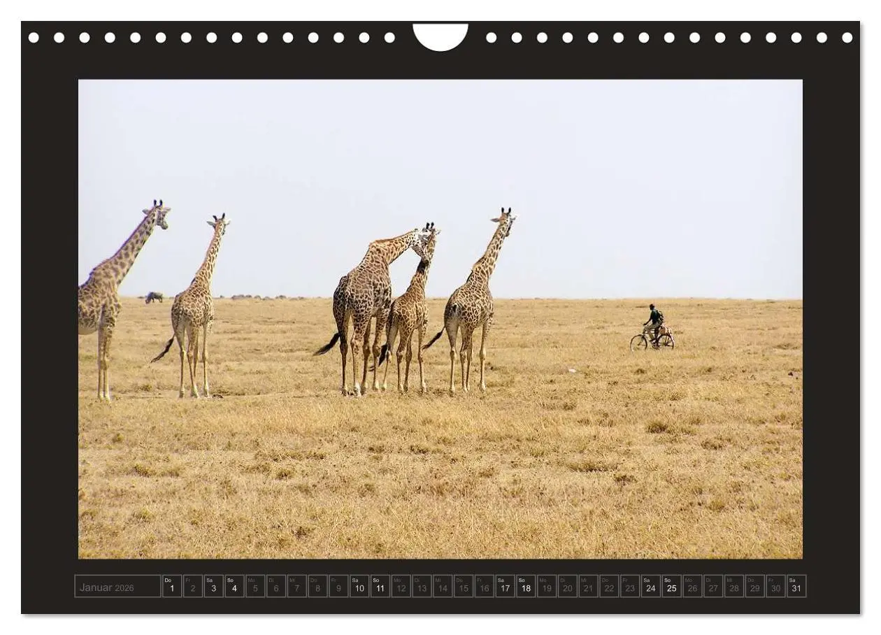 Bild: 9783516175776 | Kenia (Wandkalender 2026 DIN A4 quer), CALVENDO Monatskalender | 2026