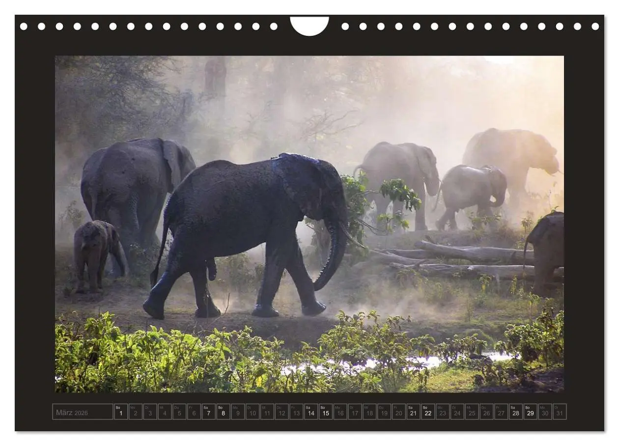 Bild: 9783516175776 | Kenia (Wandkalender 2026 DIN A4 quer), CALVENDO Monatskalender | 2026