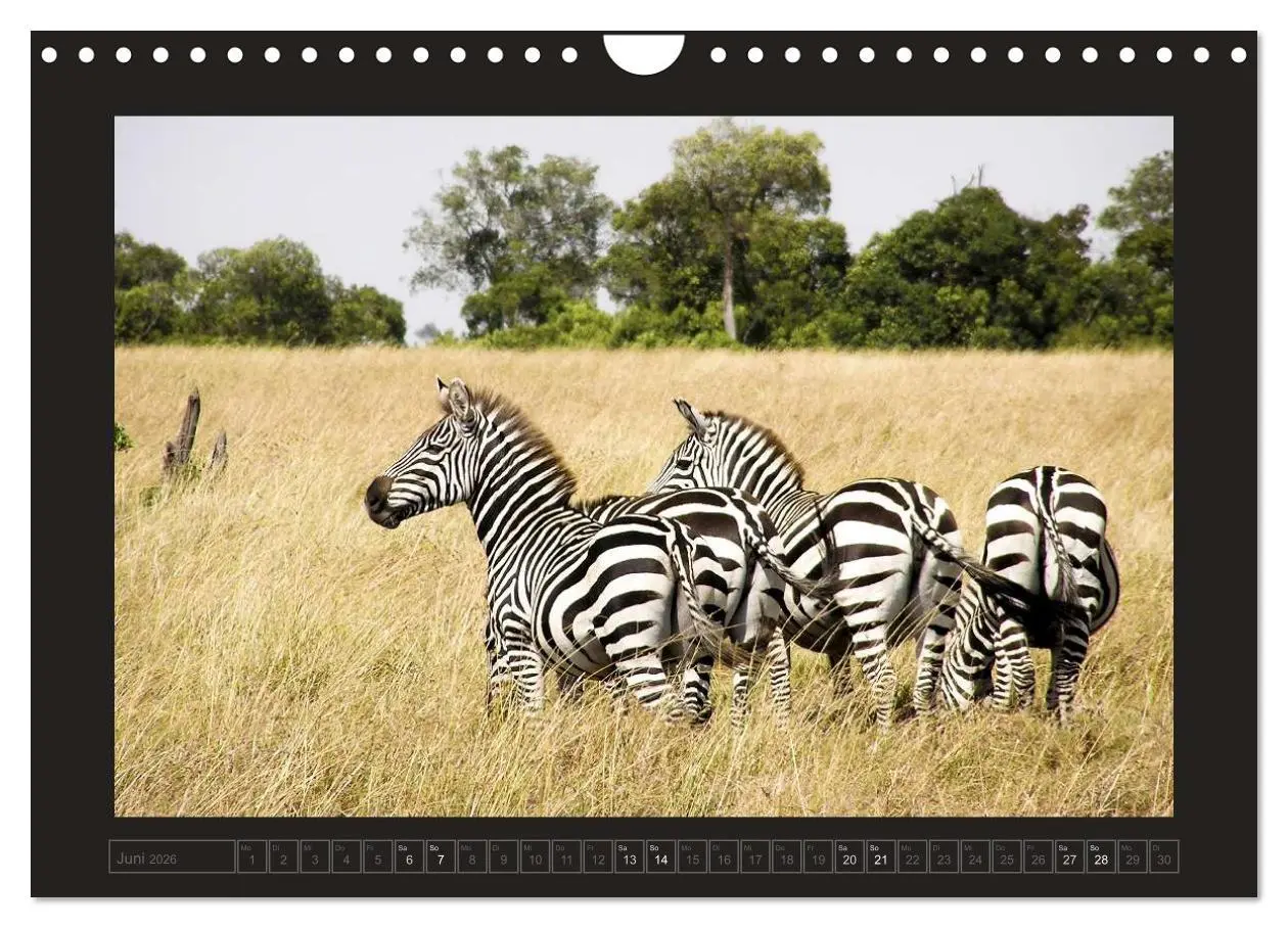 Bild: 9783516175776 | Kenia (Wandkalender 2026 DIN A4 quer), CALVENDO Monatskalender | 2026