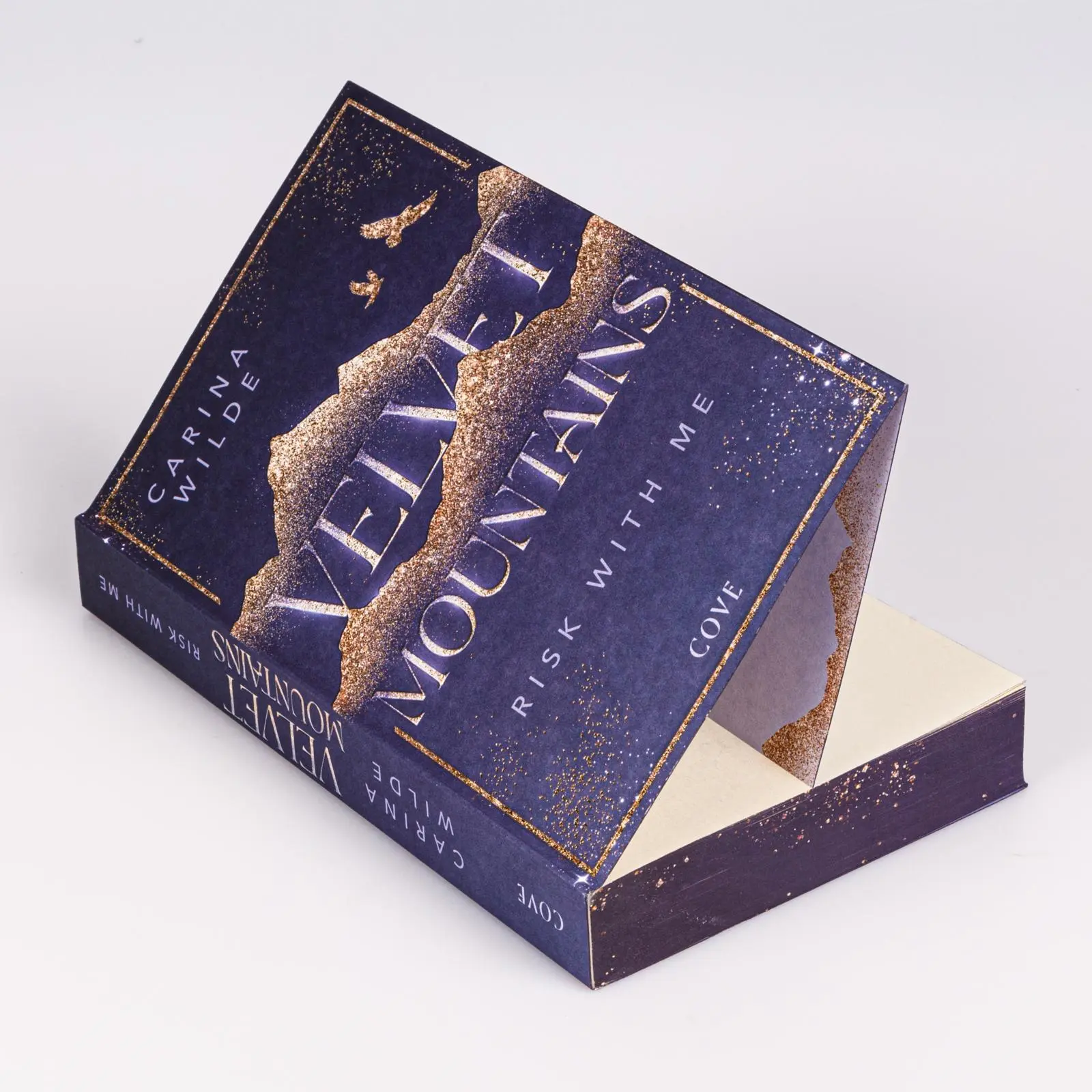 Bild: 9783551585776 | Risk With Me (Velvet Mountains 1) | Carina Wilde | Taschenbuch | 2025