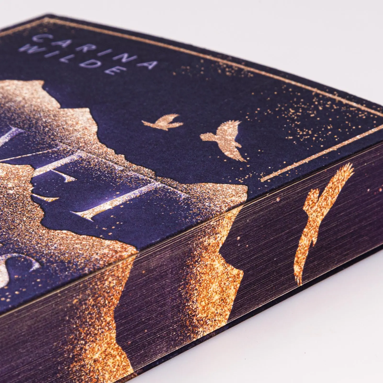 Bild: 9783551585776 | Risk With Me (Velvet Mountains 1) | Carina Wilde | Taschenbuch | 2025