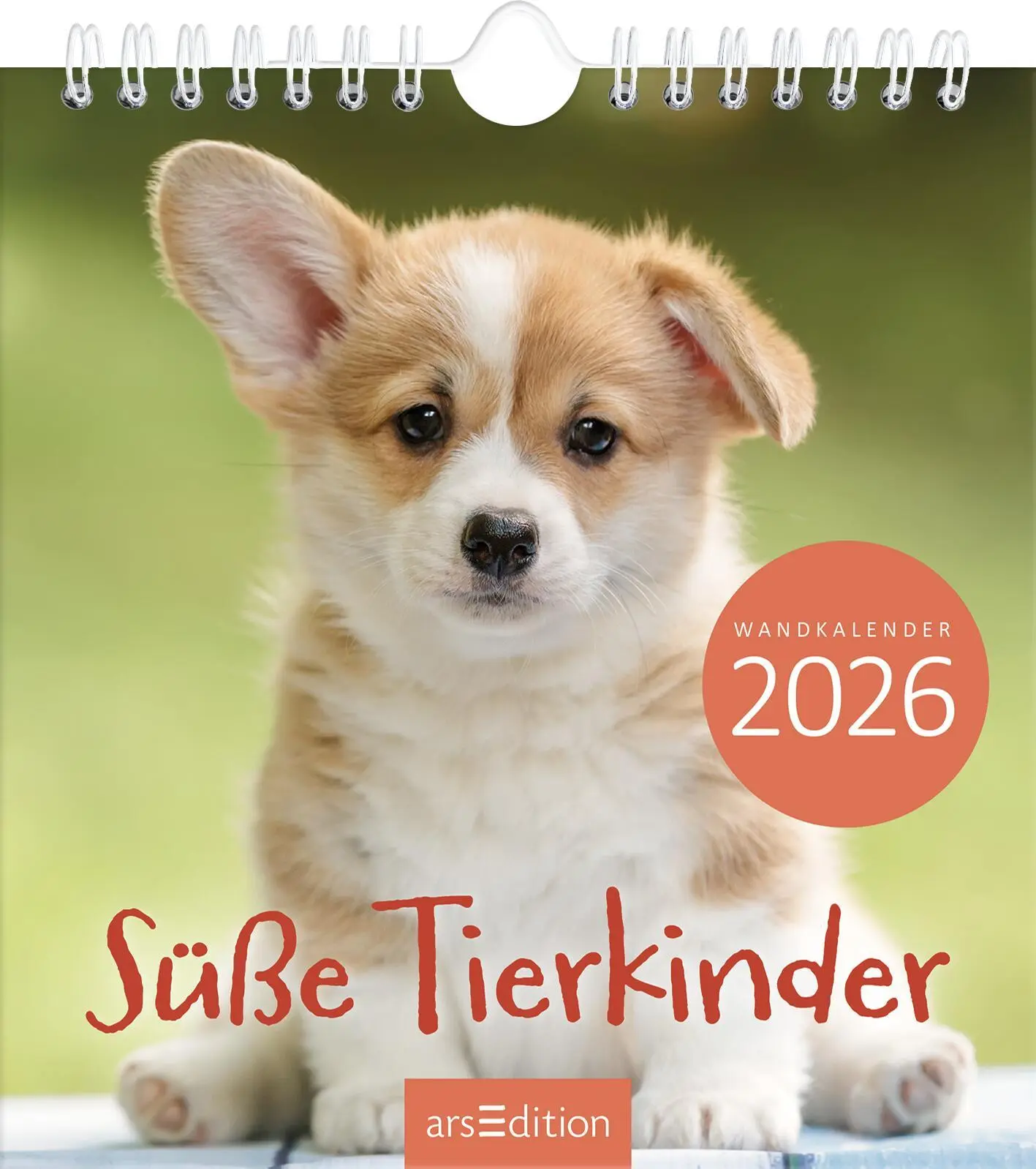 Cover: 4014489135876 | Wandkalender Süße Tierkinder 2026 | Kalender | 26 S. | Deutsch | 2026
