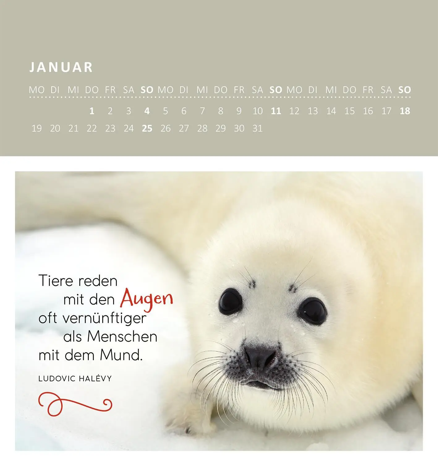 Bild: 4014489135876 | Wandkalender Süße Tierkinder 2026 | Kalender | 26 S. | Deutsch | 2026