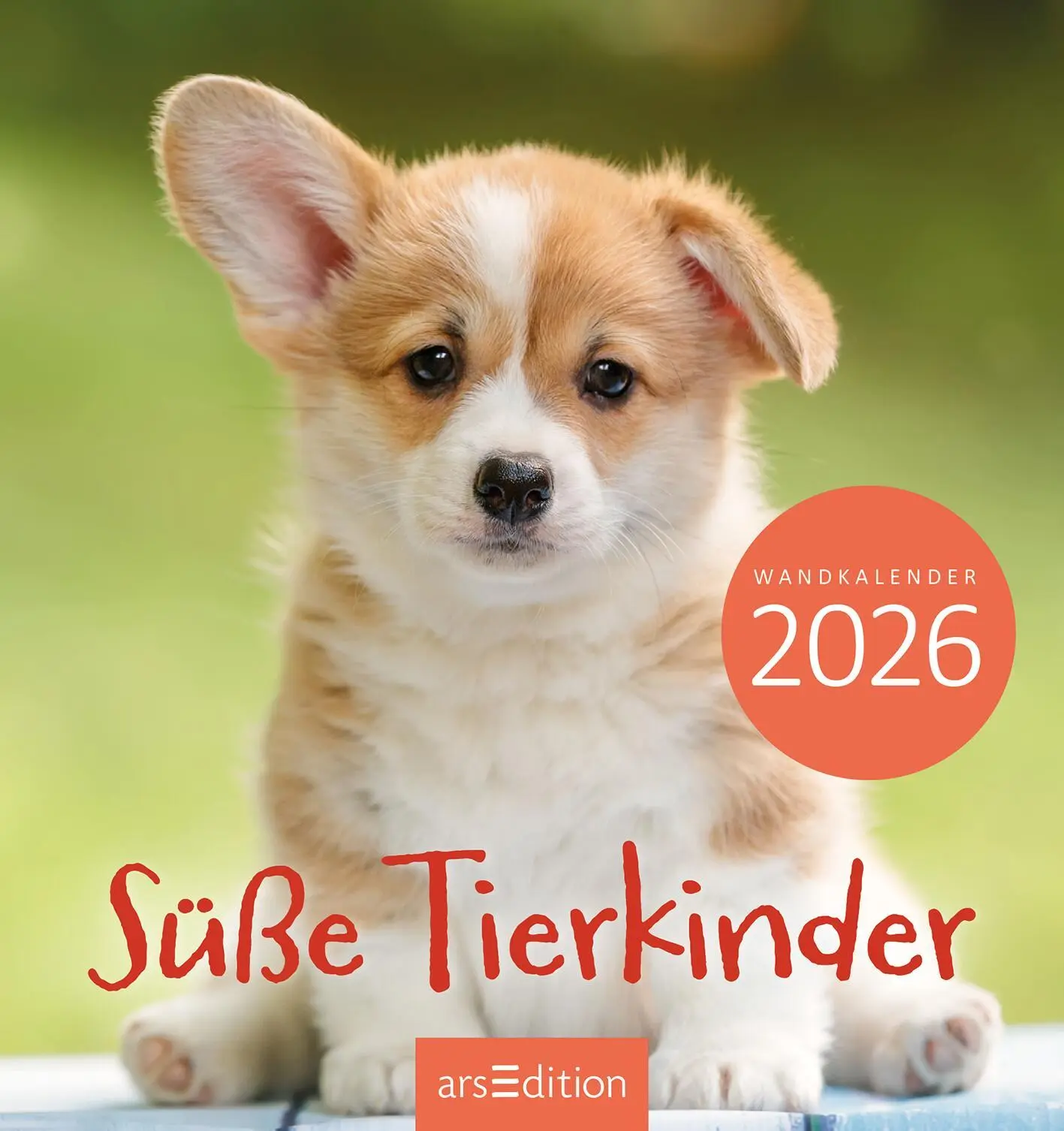 Bild: 4014489135876 | Wandkalender Süße Tierkinder 2026 | Kalender | 26 S. | Deutsch | 2026