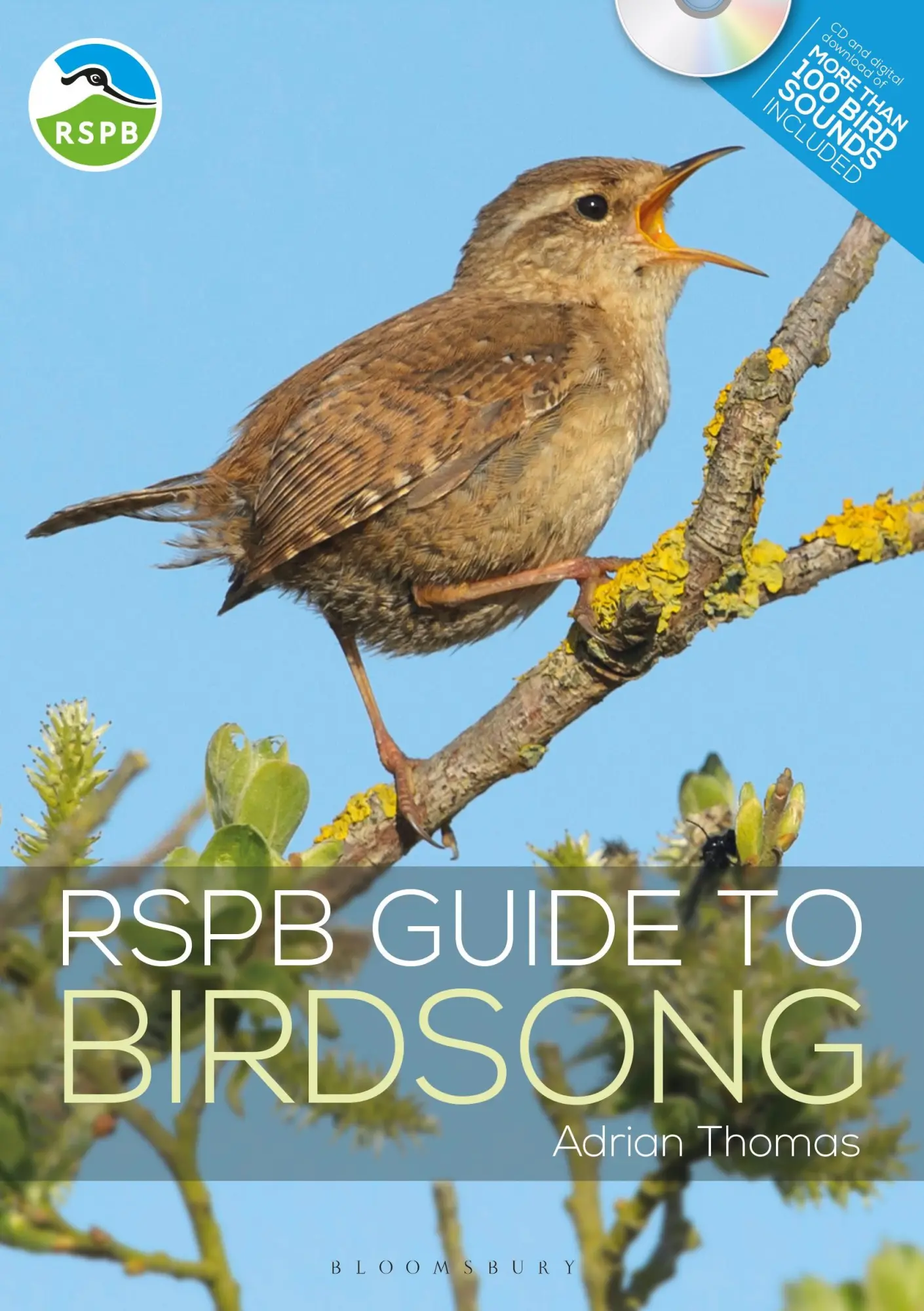 Cover: 9781472955876 | Rspb Guide to Birdsong | Adrian Thomas | Taschenbuch | Englisch | 2019