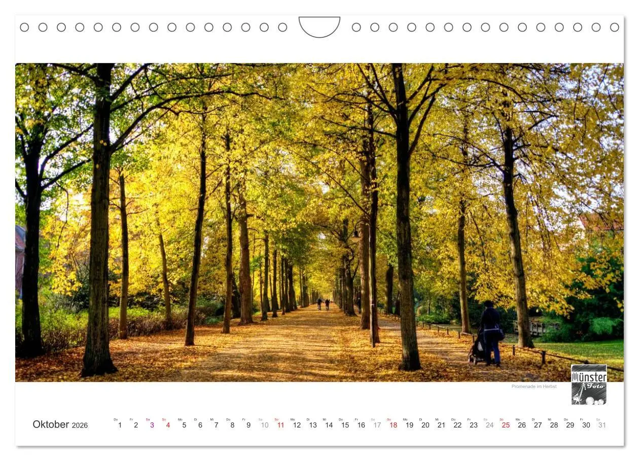 Bild: 9783516165876 | MÜNSTER :: Ansichten einer lebenswerten Stadt (Wandkalender 2026...