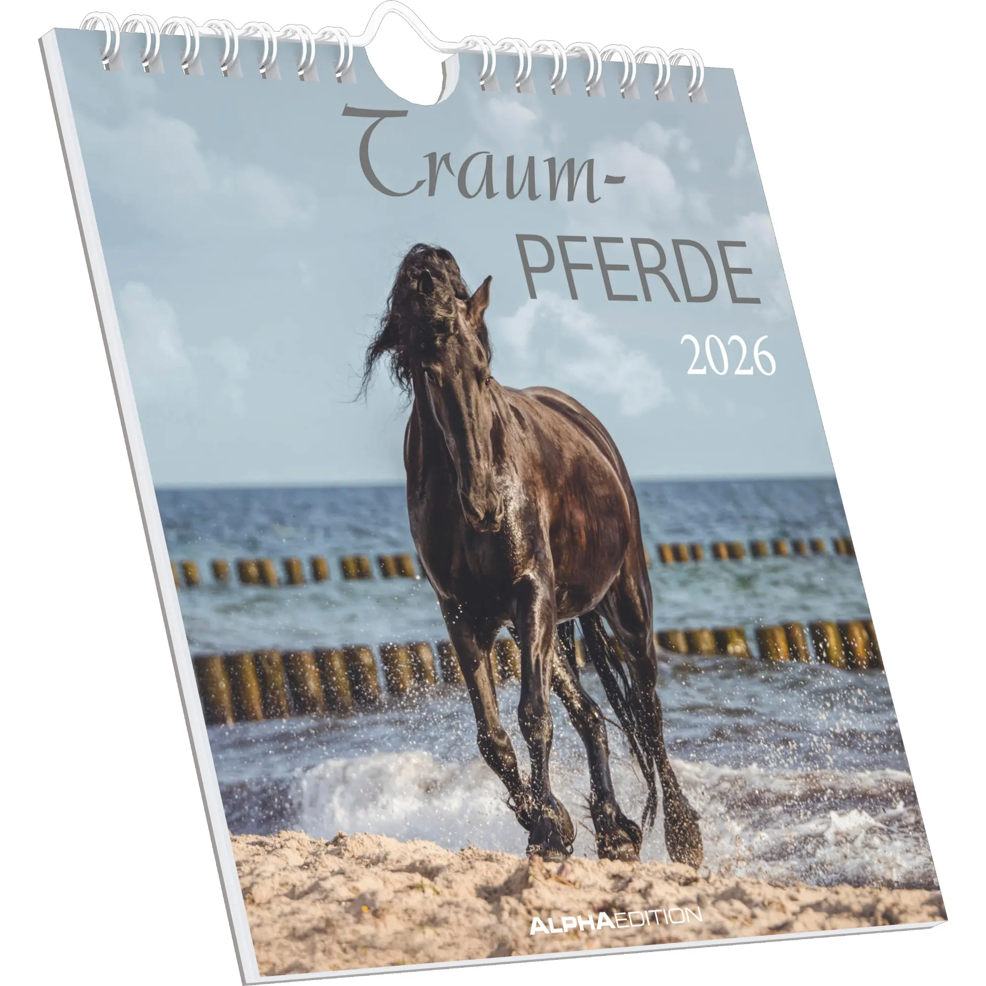 Cover: 4069095005976 | Traumpferde 2026 - Postkartenkalender 16x17 cm - Horses - zum...