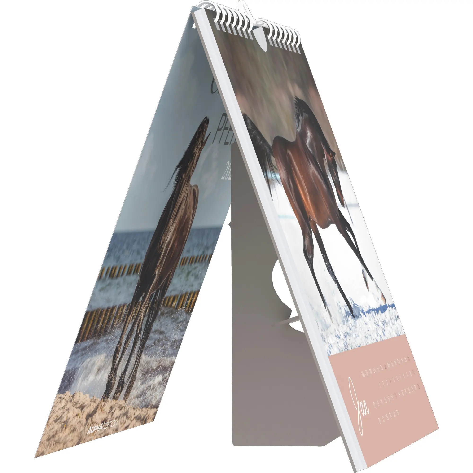 Bild: 4069095005976 | Traumpferde 2026 - Postkartenkalender 16x17 cm - Horses - zum...