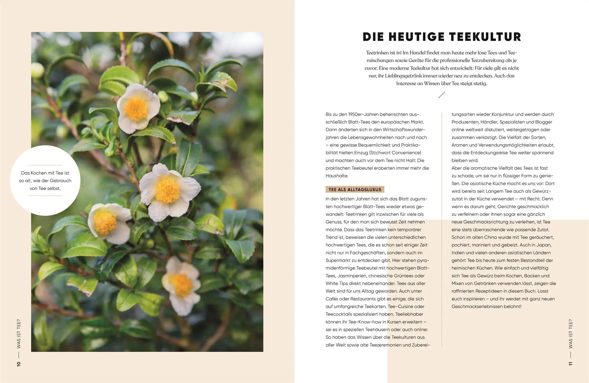 Bild: 9783831045976 | TASTY TEA | DK Verlag | Buch | 192 S. | Deutsch | 2022
