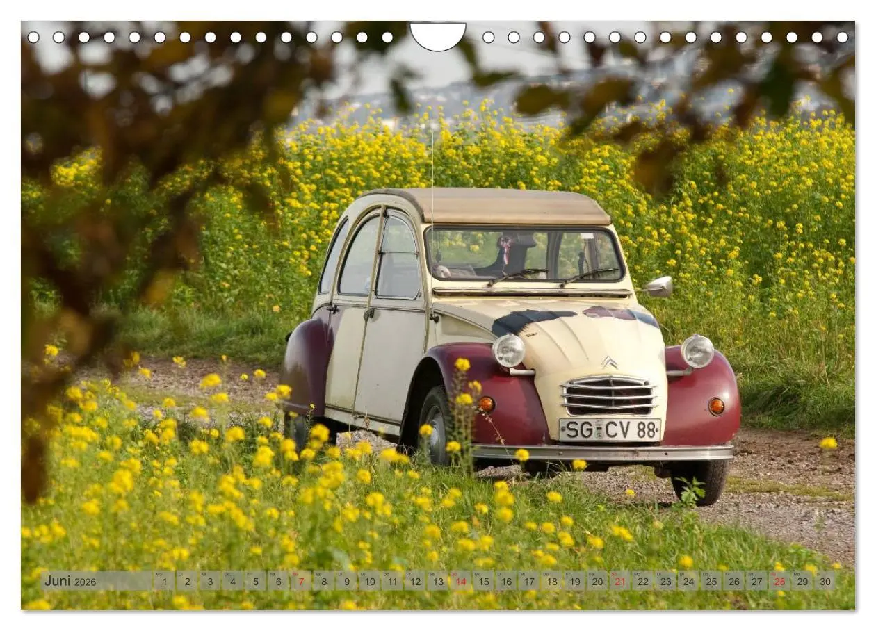 Bild: 9783516046076 | Kultauto Ente Citroën 2CV (Wandkalender 2026 DIN A4 quer), CALVENDO...