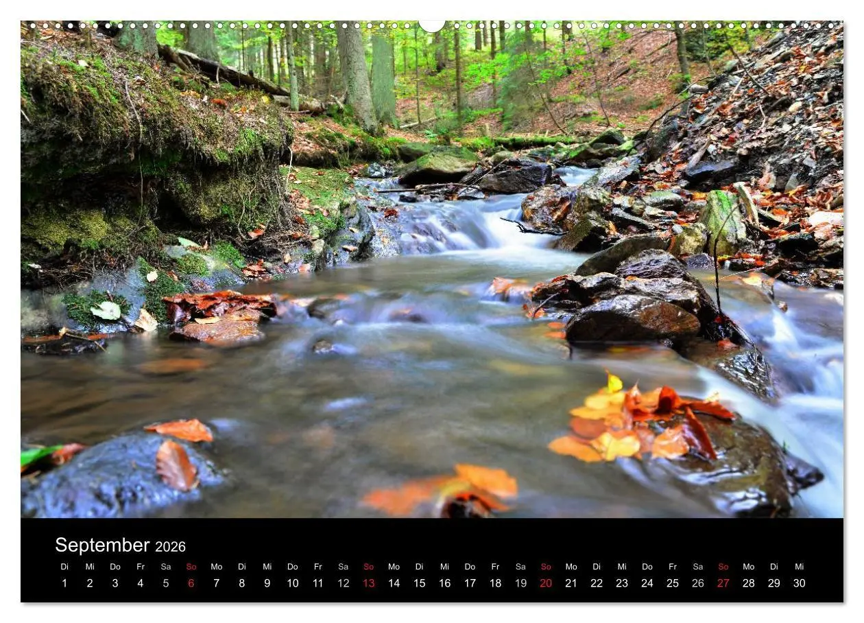 Bild: 9783516116076 | Rund um den Ochsenkopf (Wandkalender 2026 DIN A2 quer), CALVENDO...
