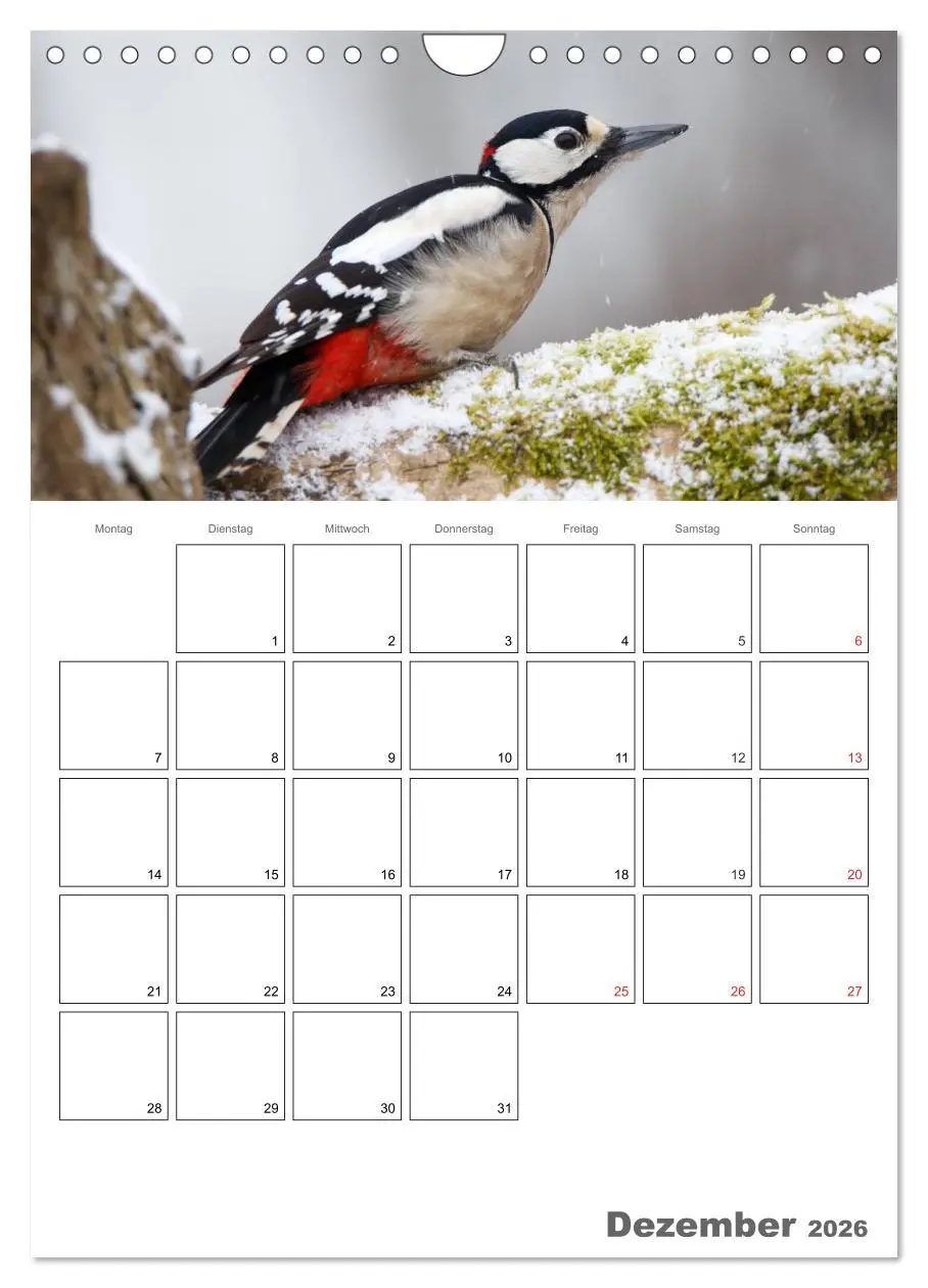 Bild: 9783516426076 | Vögel im heimischen Garten (Wandkalender 2026 DIN A4 hoch),...