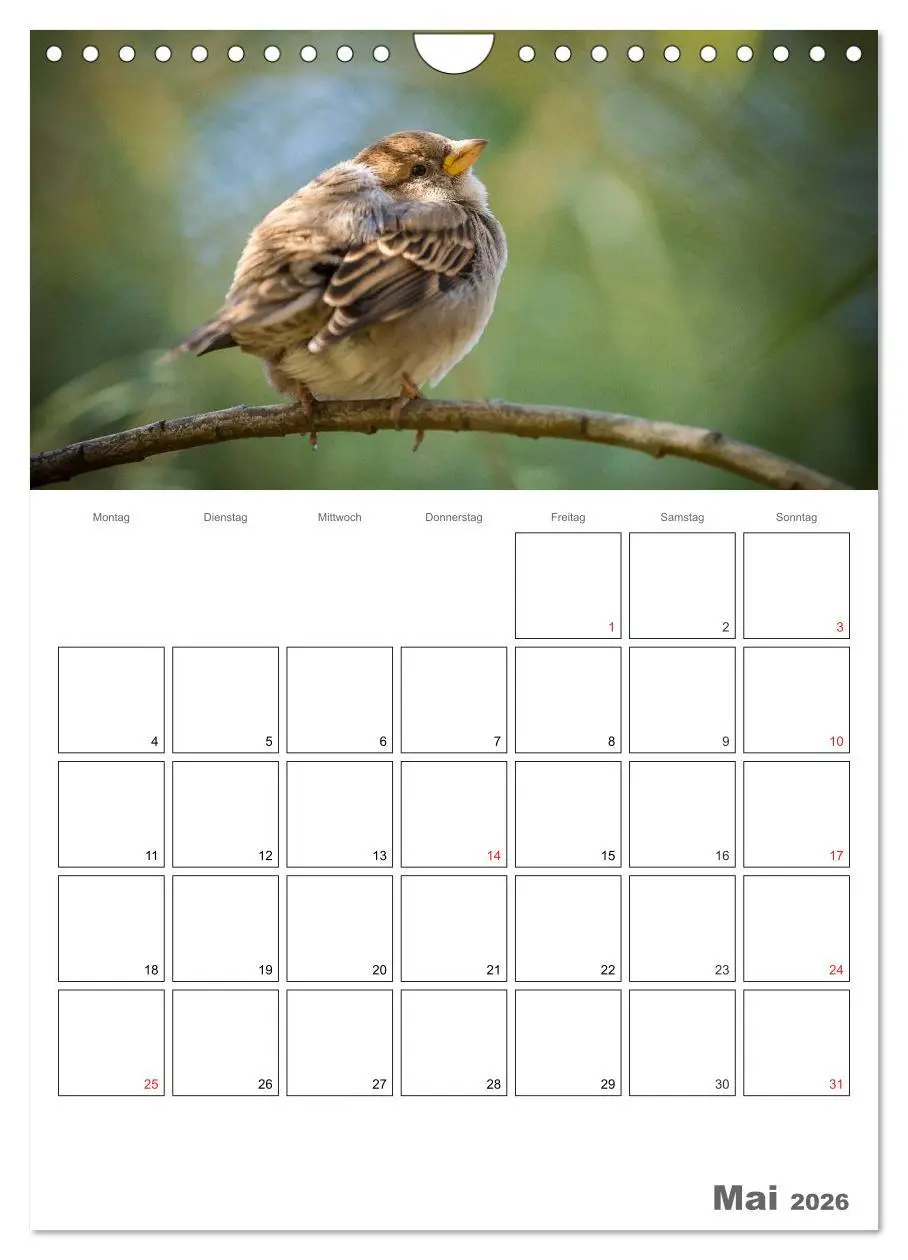 Bild: 9783516426076 | Vögel im heimischen Garten (Wandkalender 2026 DIN A4 hoch),...