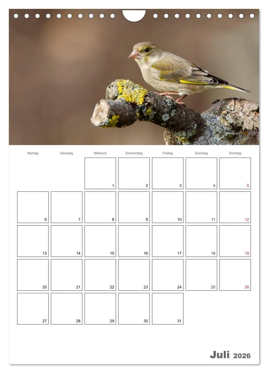 Bild: 9783516426076 | Vögel im heimischen Garten (Wandkalender 2026 DIN A4 hoch),...