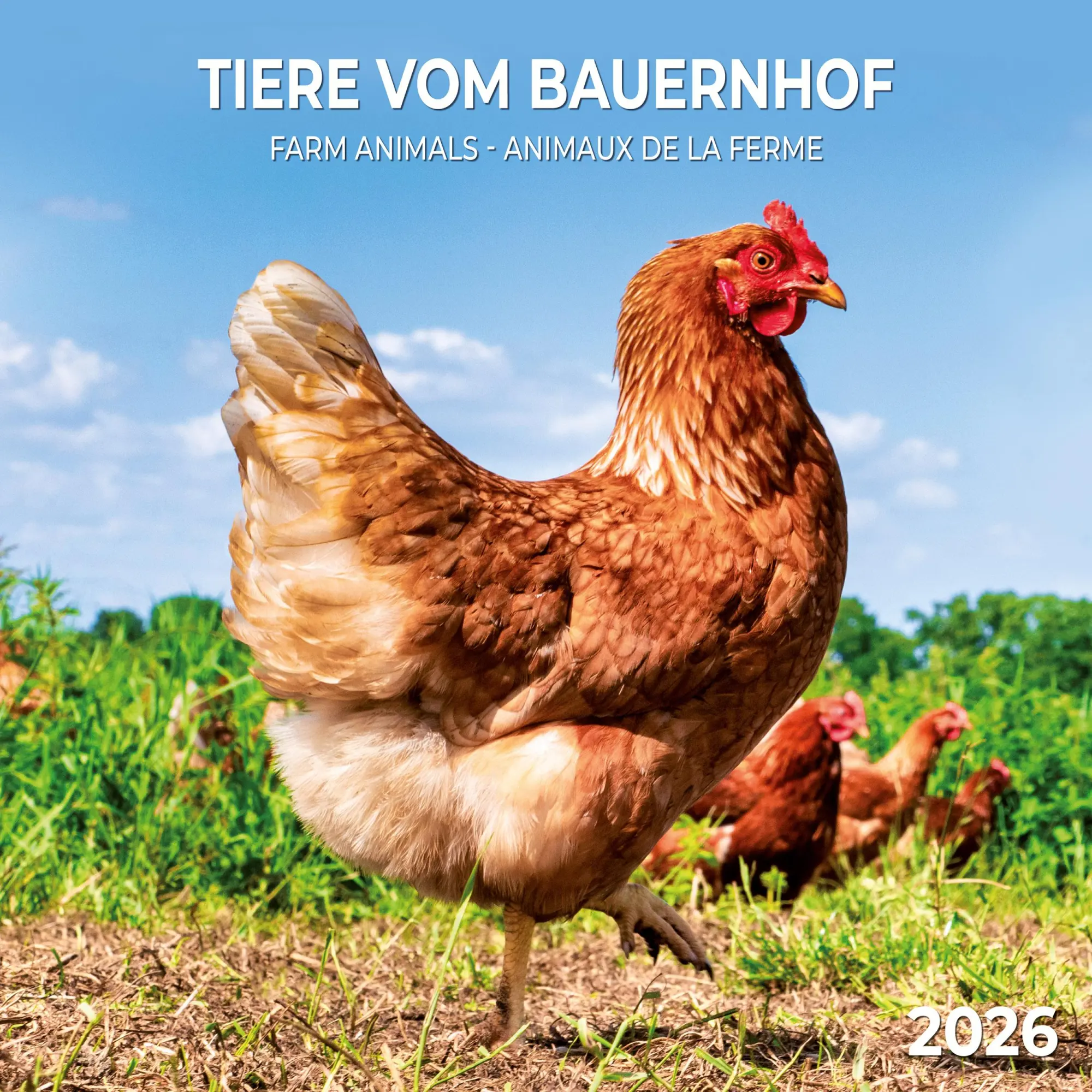 Cover: 9783959296076 | Tiere vom Bauernhof 2026 | Kalender 2026 | Kalender | 28 S. | Englisch