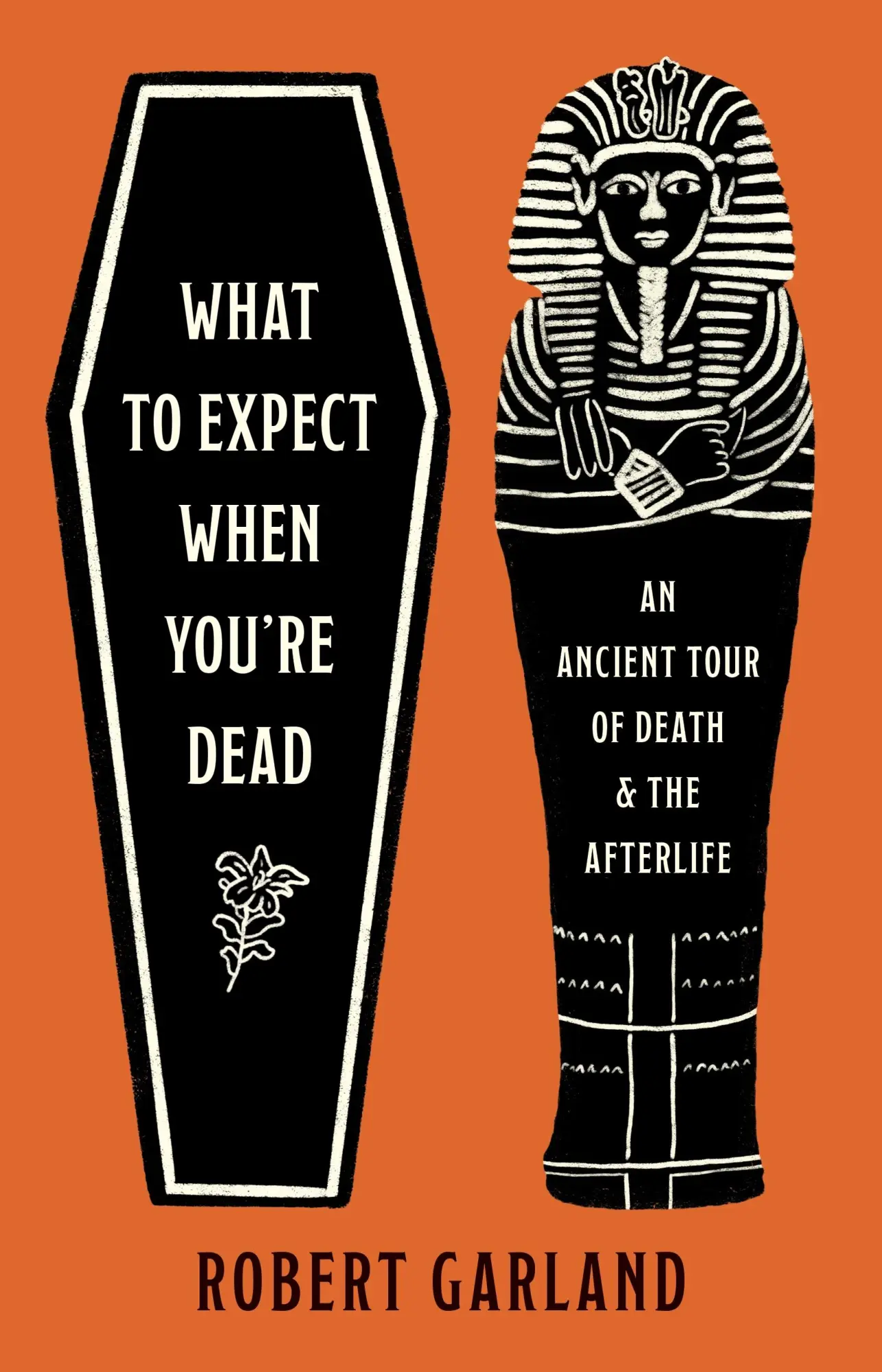 Cover: 9780691266176 | What to Expect When You're Dead | Robert Garland | Buch | Englisch