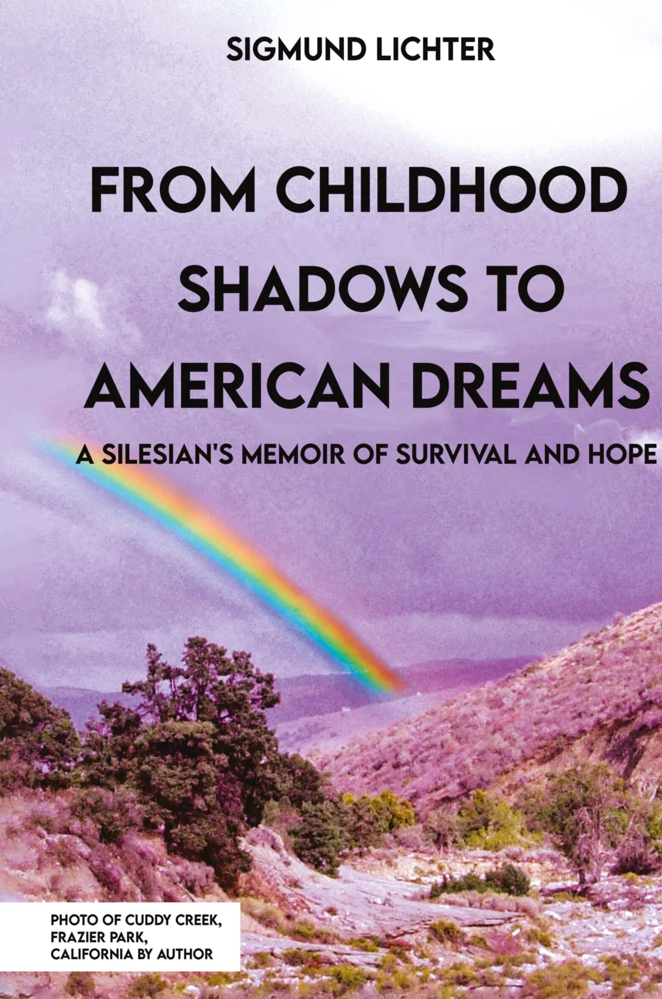 Cover: 9781917116176 | From Childhood Shadows To American Dreams | Sigmund Lichter | Buch